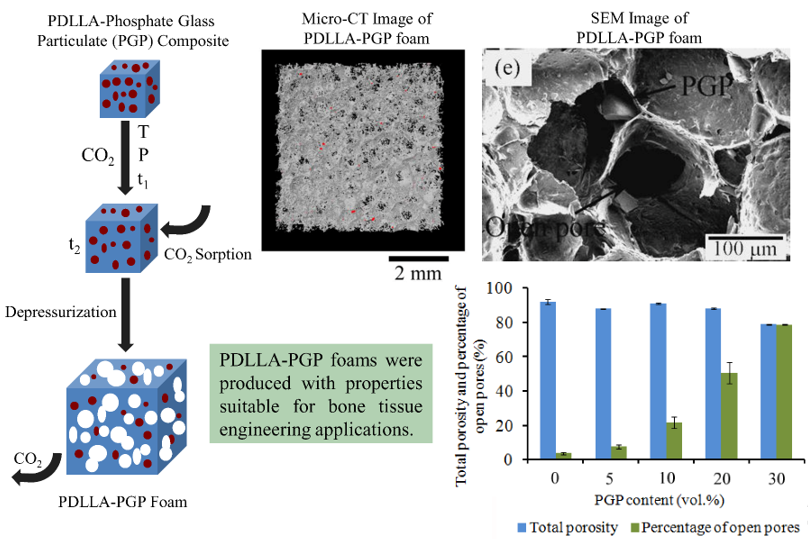 Polymers Free FullText Poly(d,lLactic acid) Composite Foams