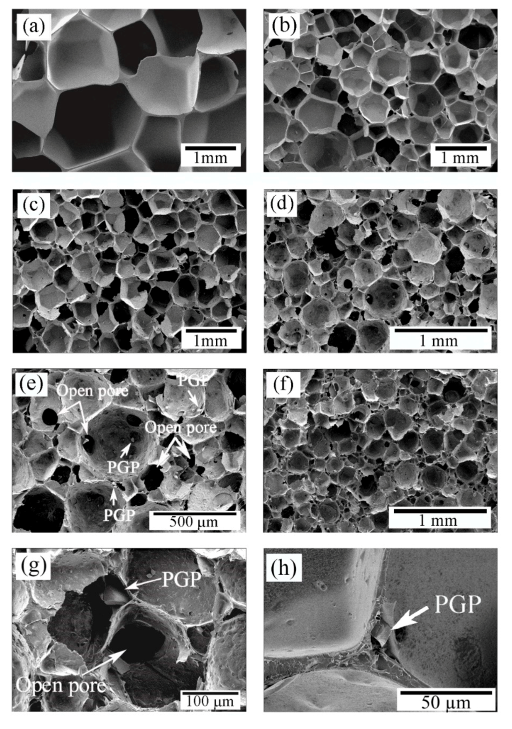 Polymers 12 00231 g003