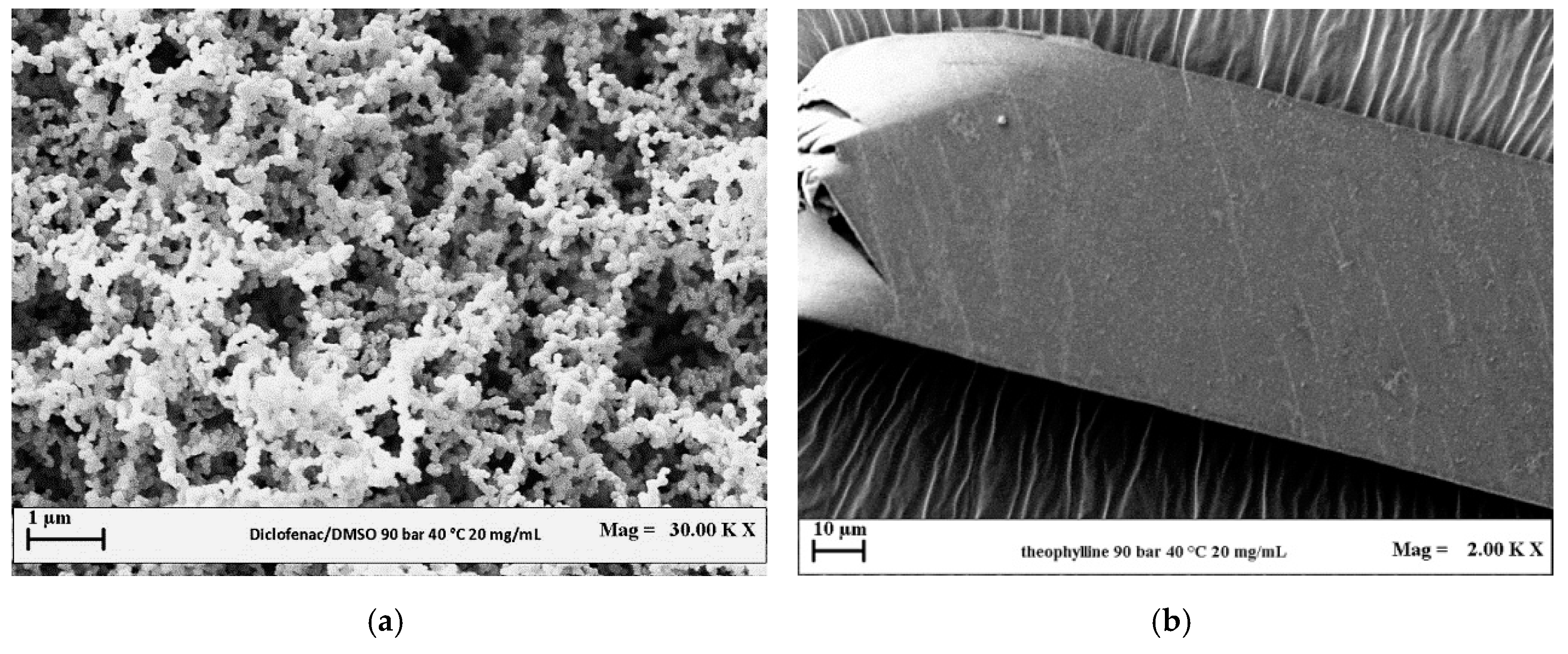 Polymers 12 00234 g004