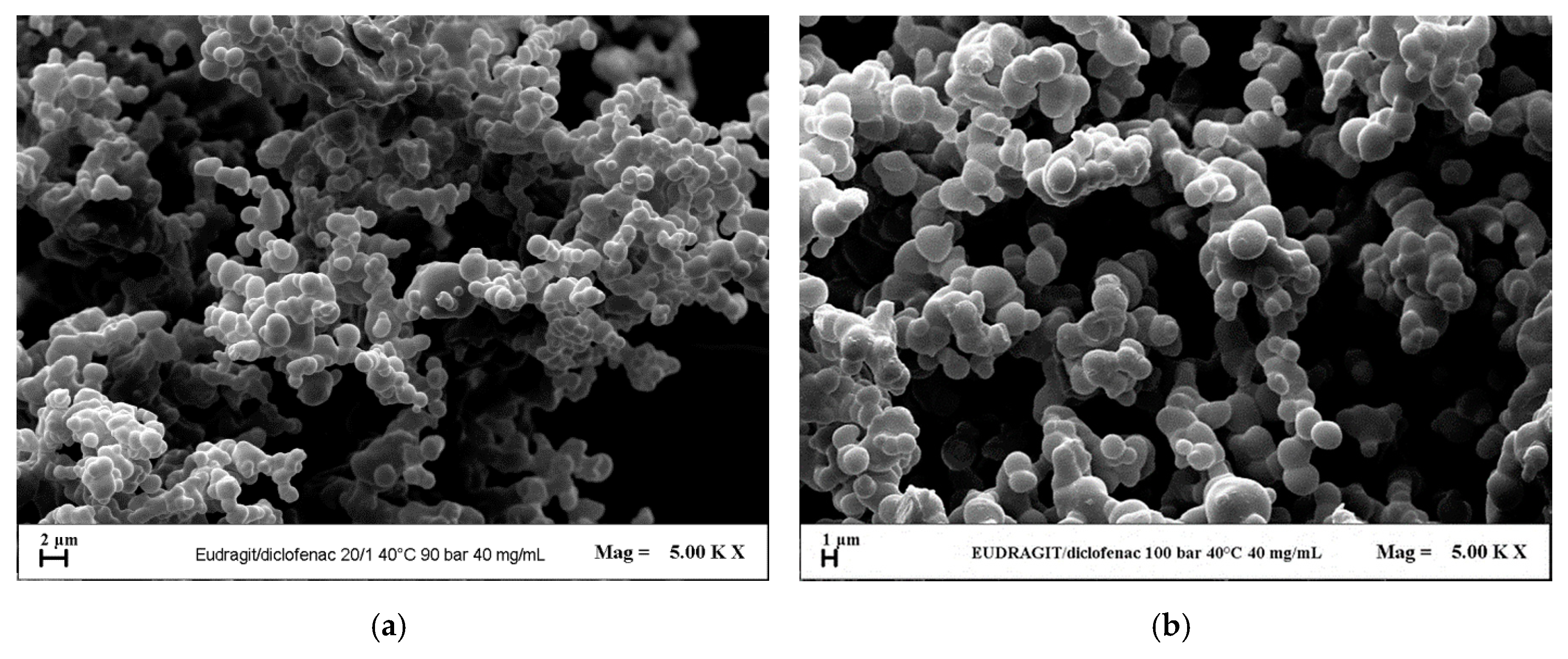 Polymers 12 00234 g005
