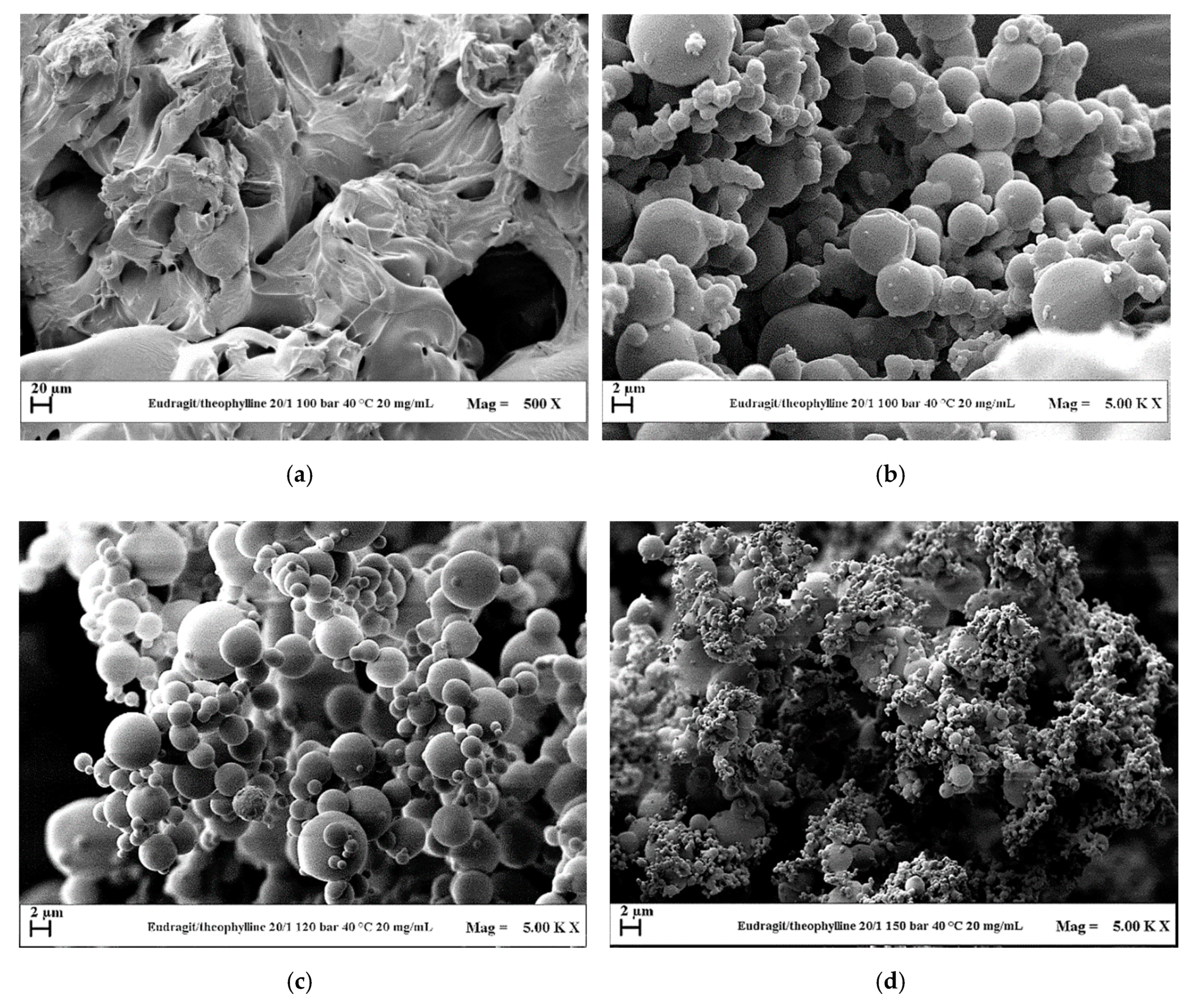 Polymers 12 00234 g006