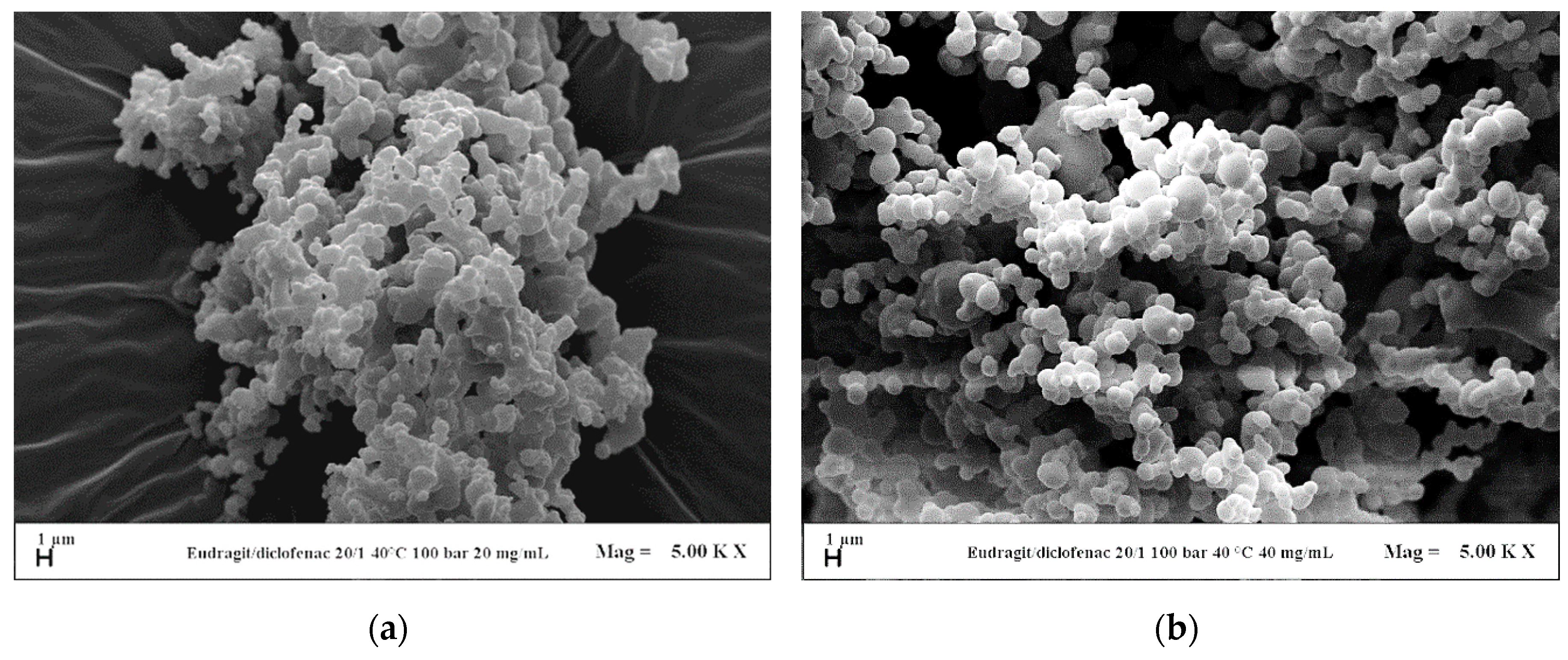 Polymers 12 00234 g008