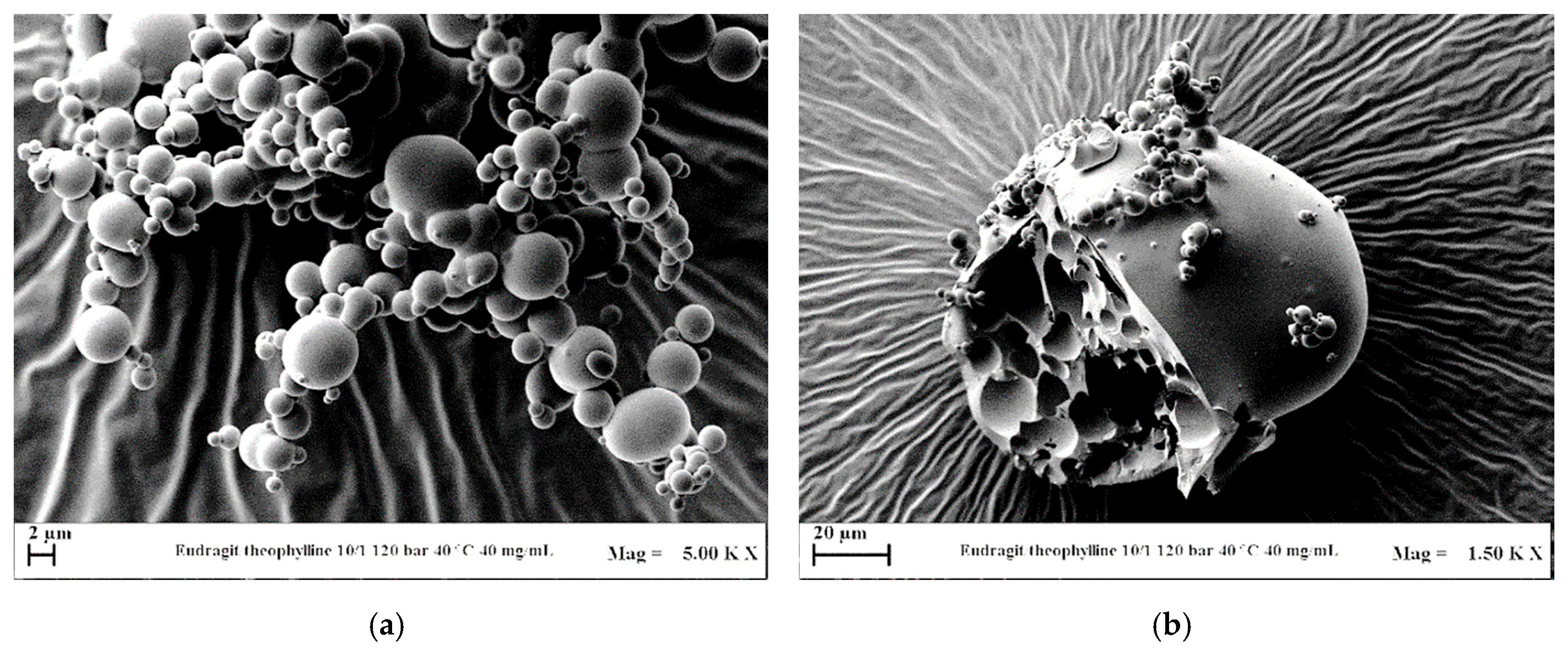 Polymers 12 00234 g009