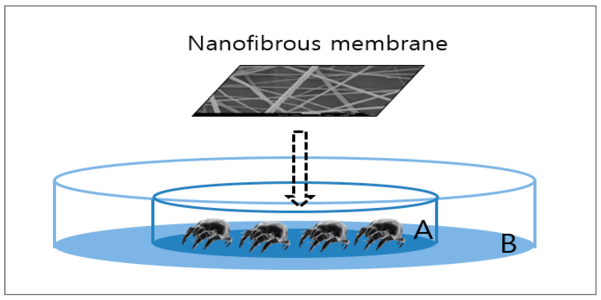 Polymers 12 00243 g001 Polymers 12 00243 g001