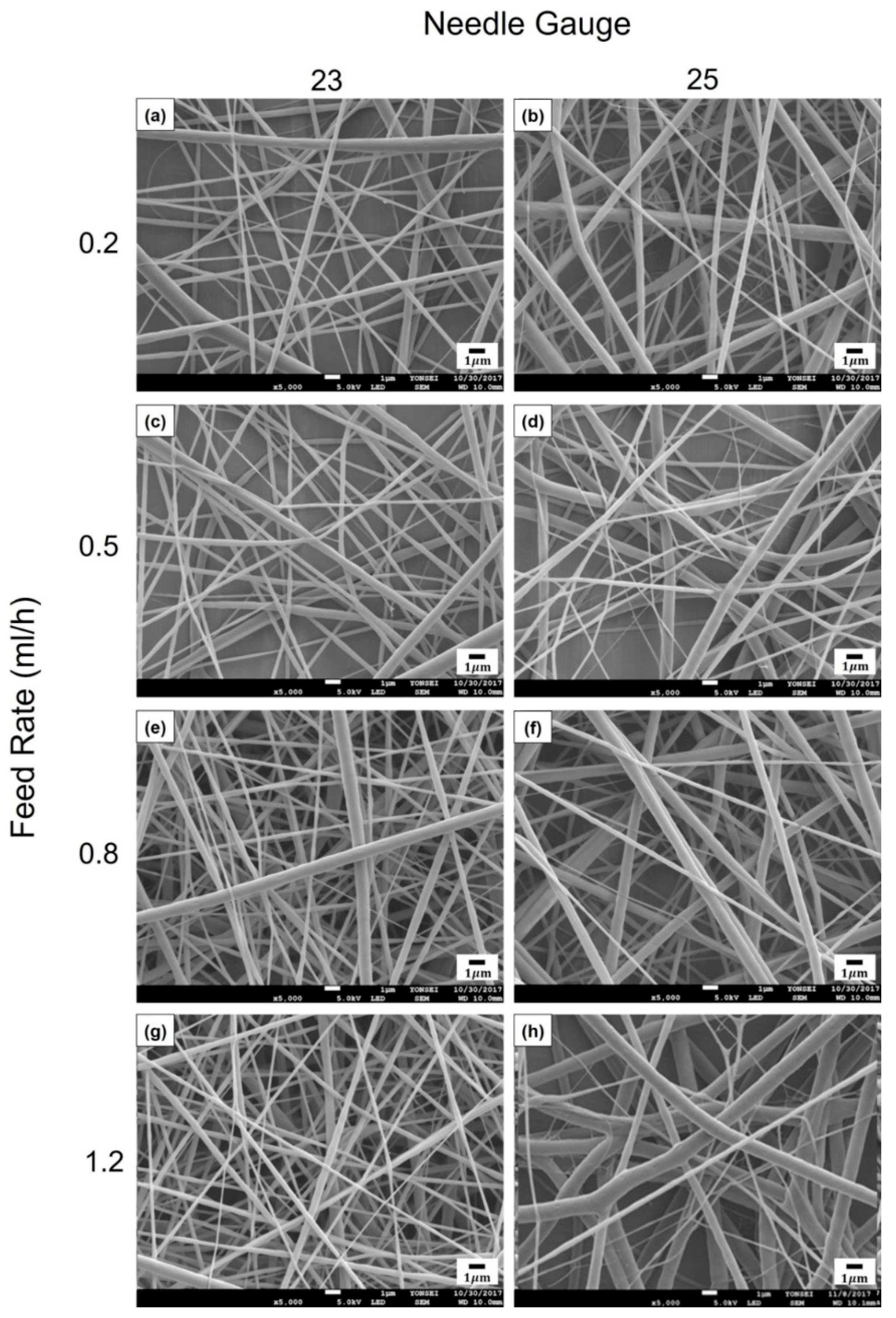 Polymers 12 00243 g003 Polymers 12 00243 g003