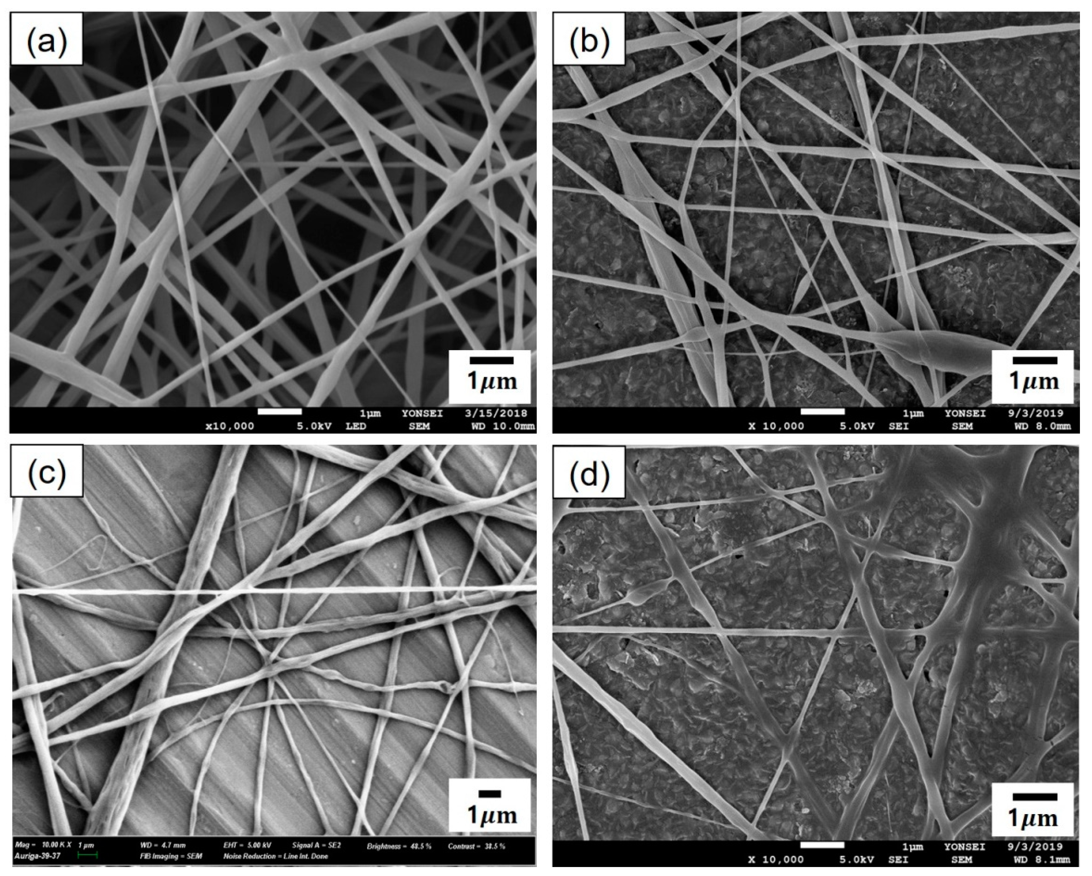 Polymers 12 00243 g006 Polymers 12 00243 g006
