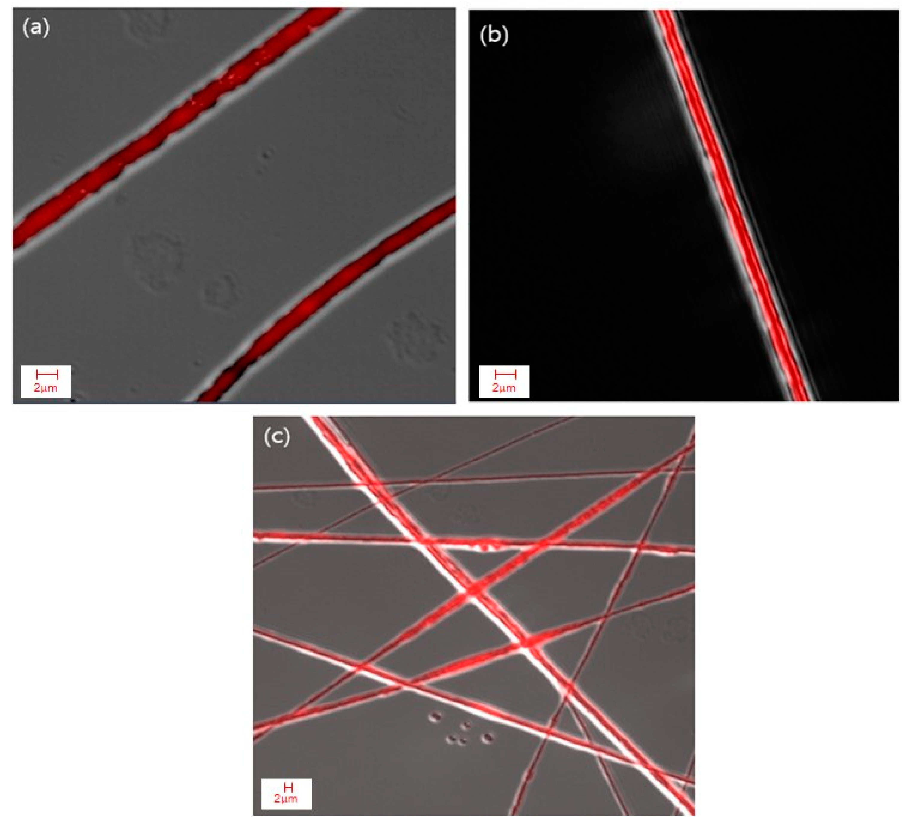 Polymers 12 00243 g007 Polymers 12 00243 g007