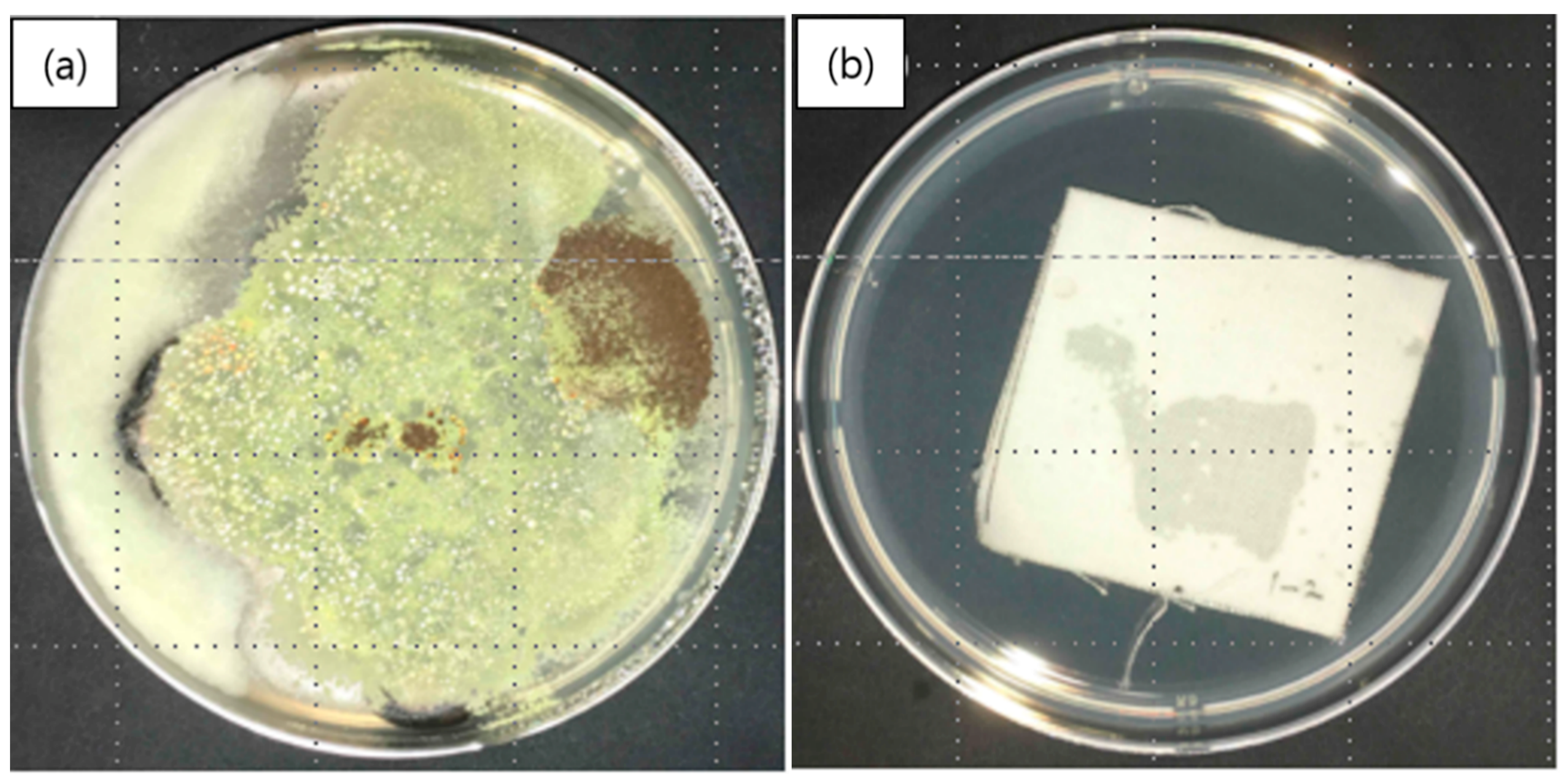 Polymers 12 00243 g008 Polymers 12 00243 g008