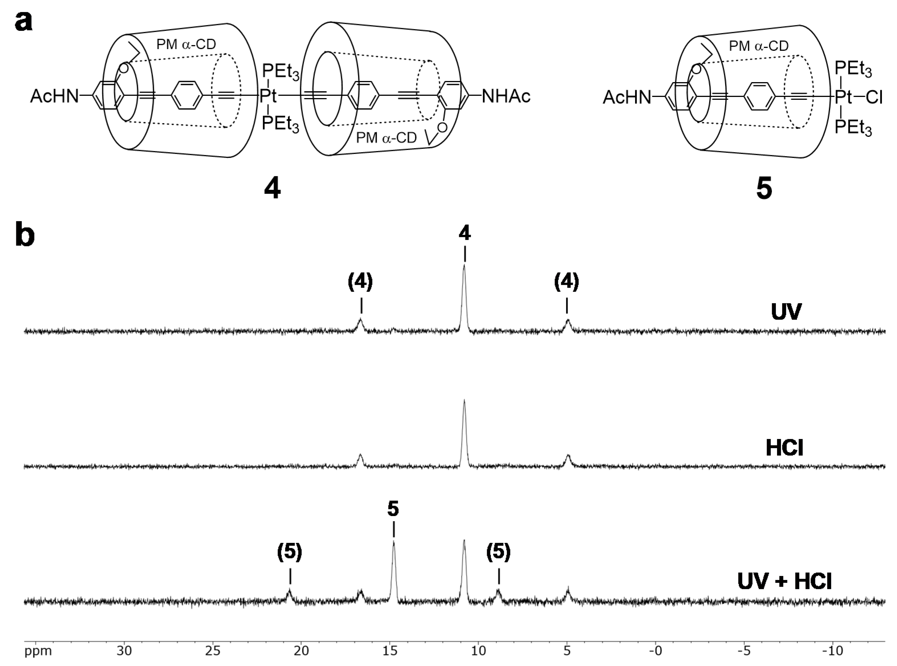 Polymers 12 00244 g005 Polymers 12 00244 g005