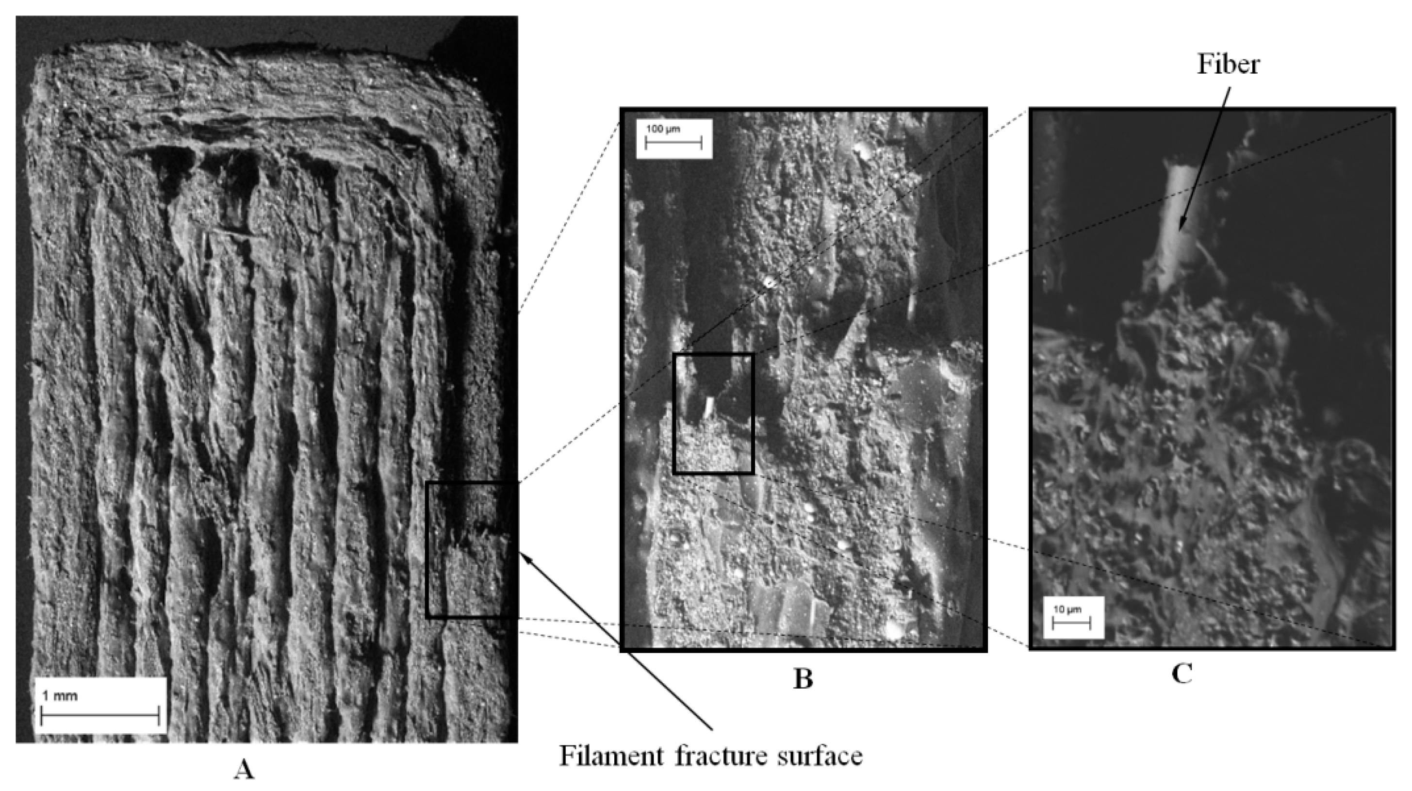 Polymers 12 00246 g016