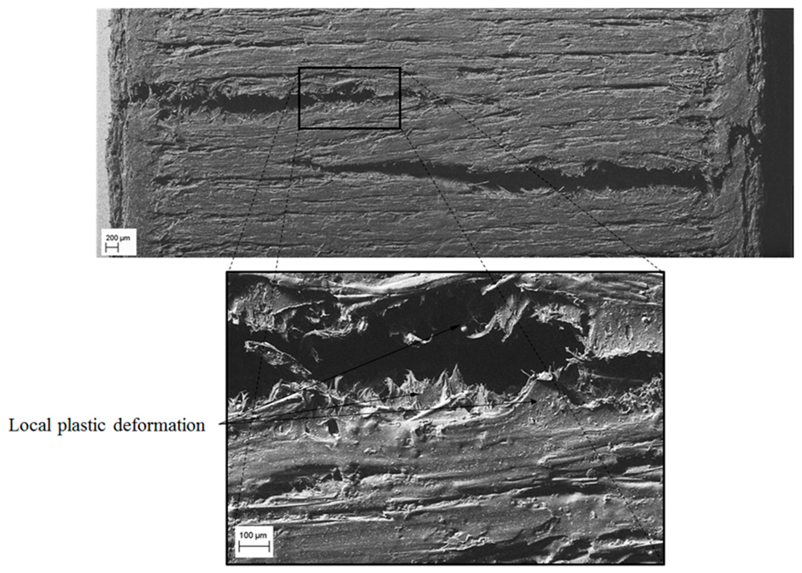 Polymers 12 00246 g017