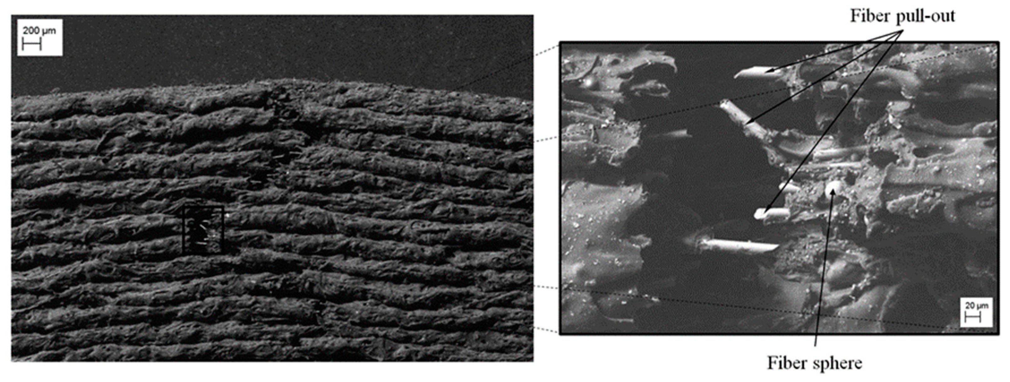 Polymers 12 00246 g018