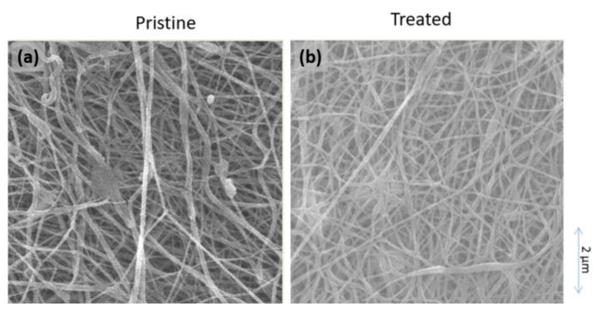 Polymers 12 00252 g004