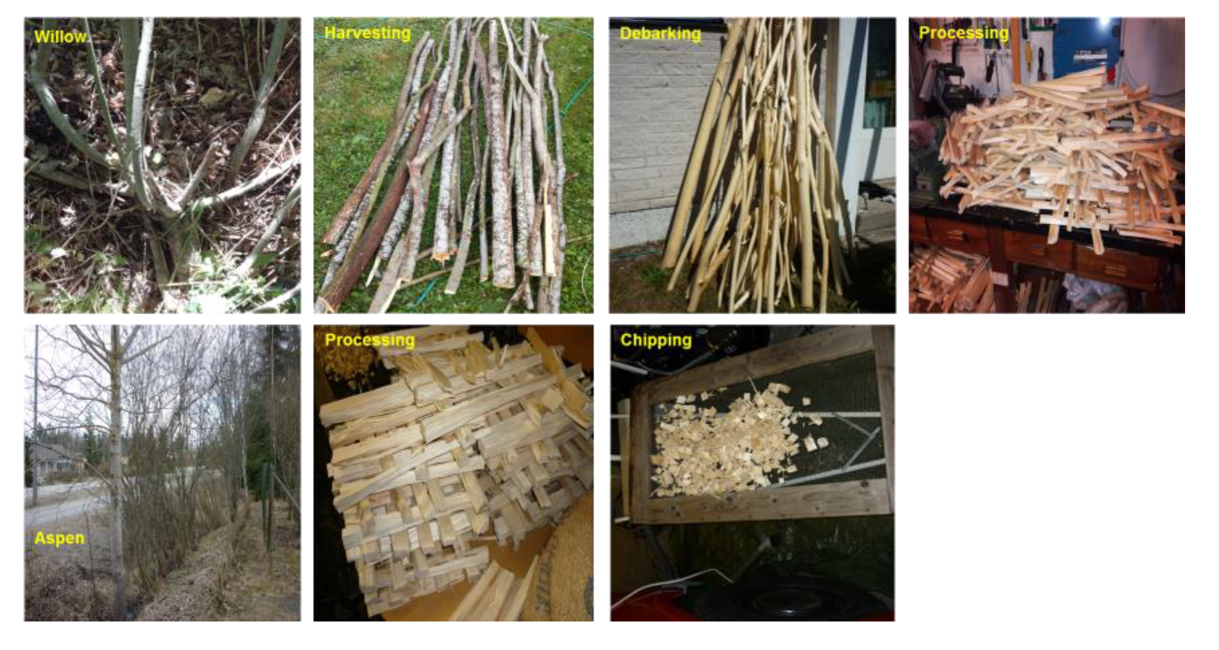 Polymers 12 00257 g001