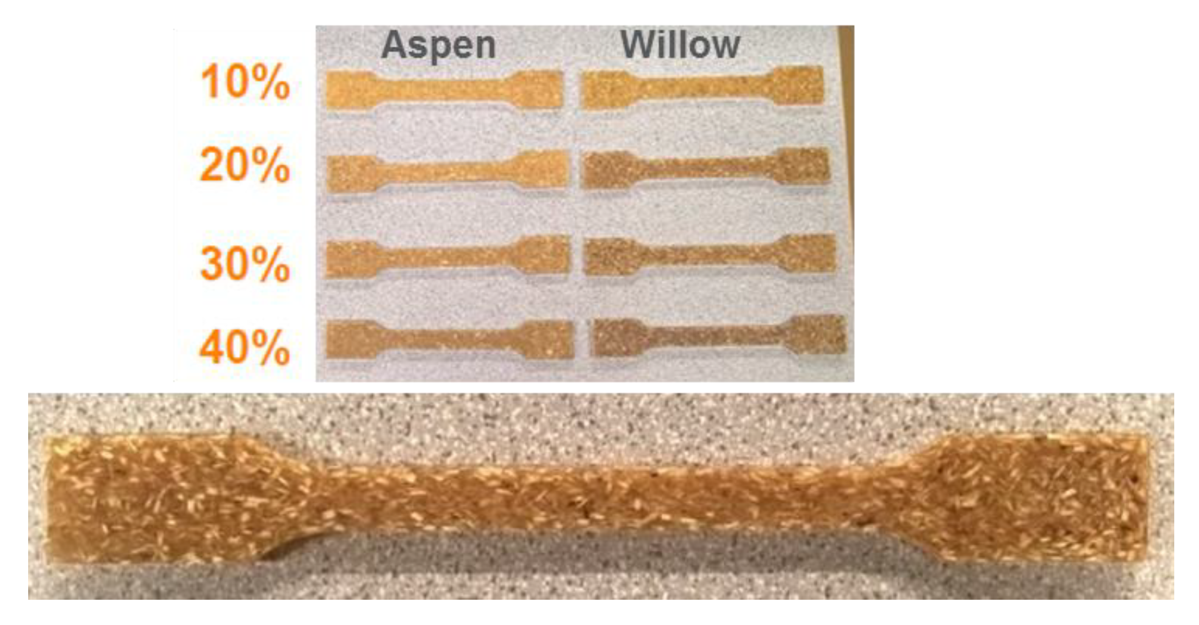 Polymers 12 00257 g002