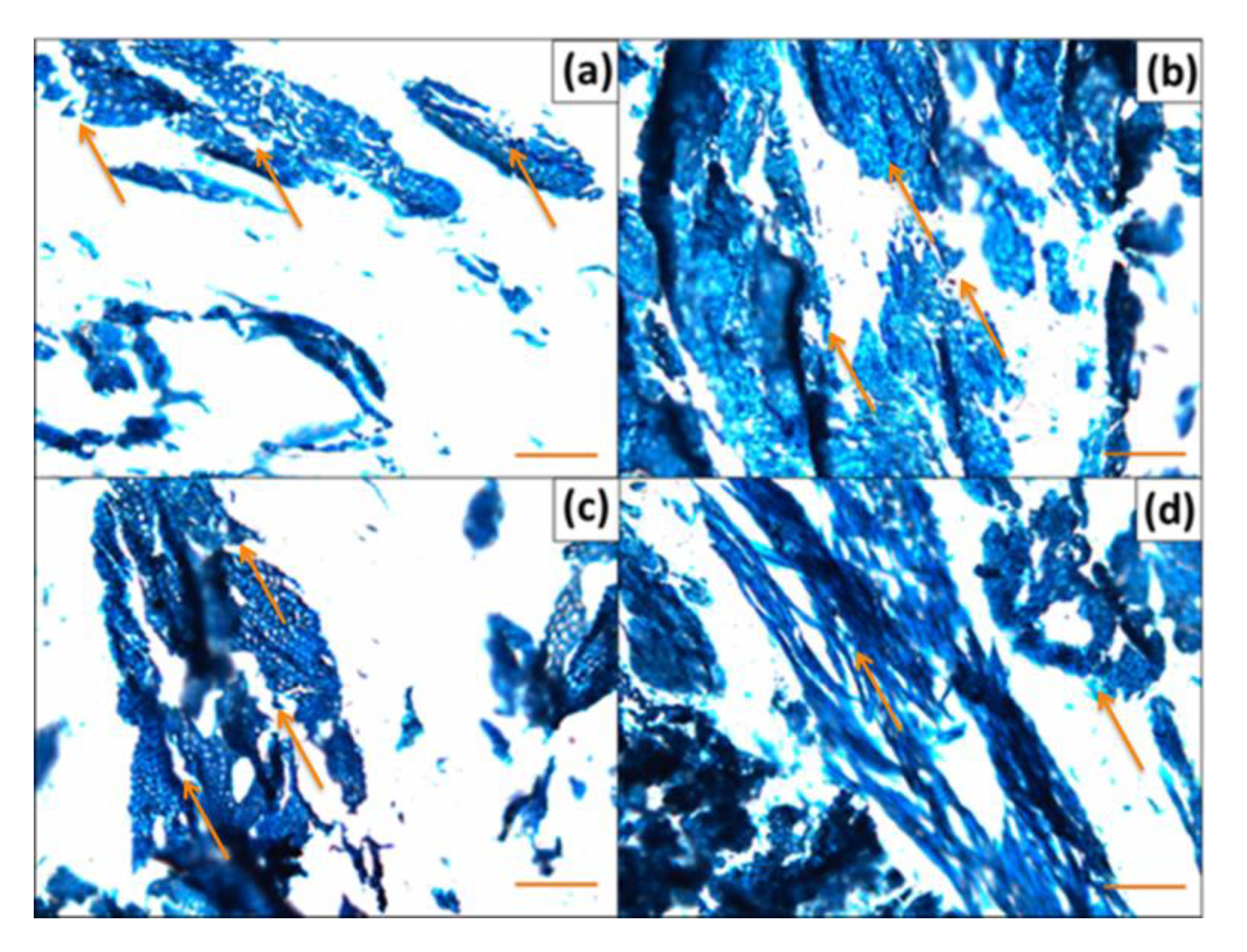 Polymers 12 00257 g010