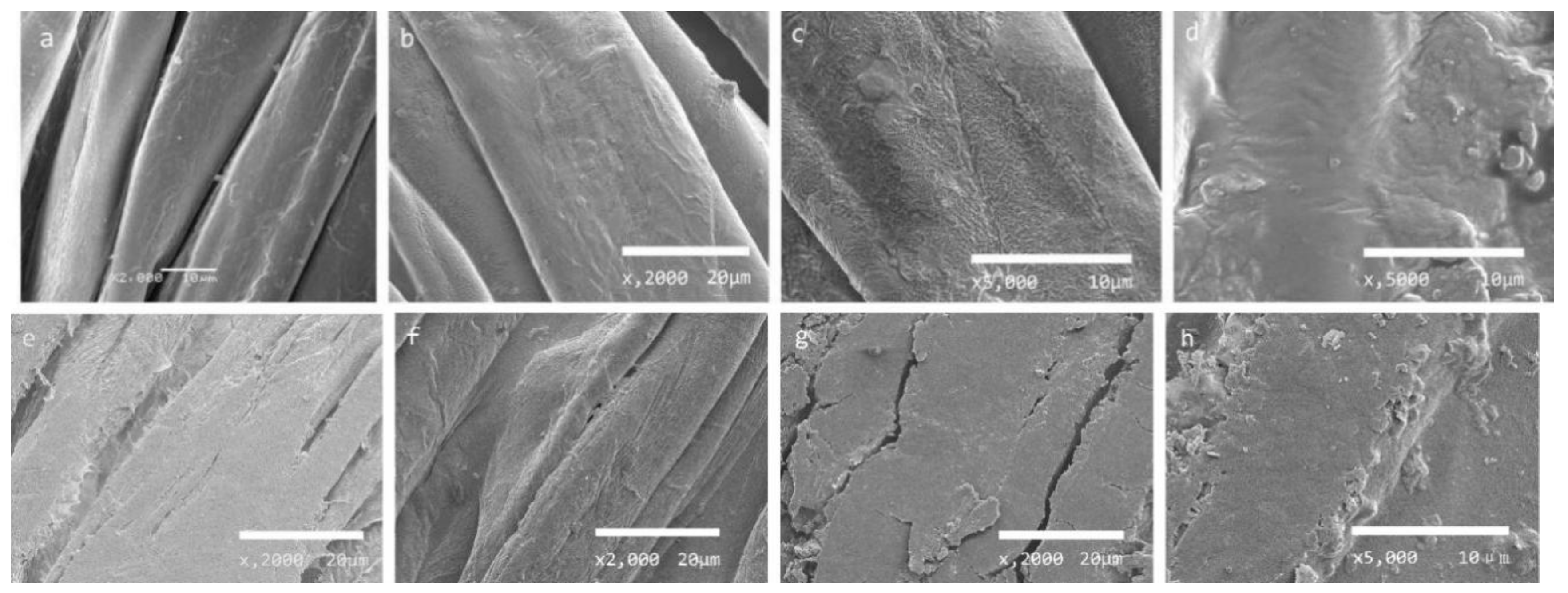 Polymers 12 00259 g003