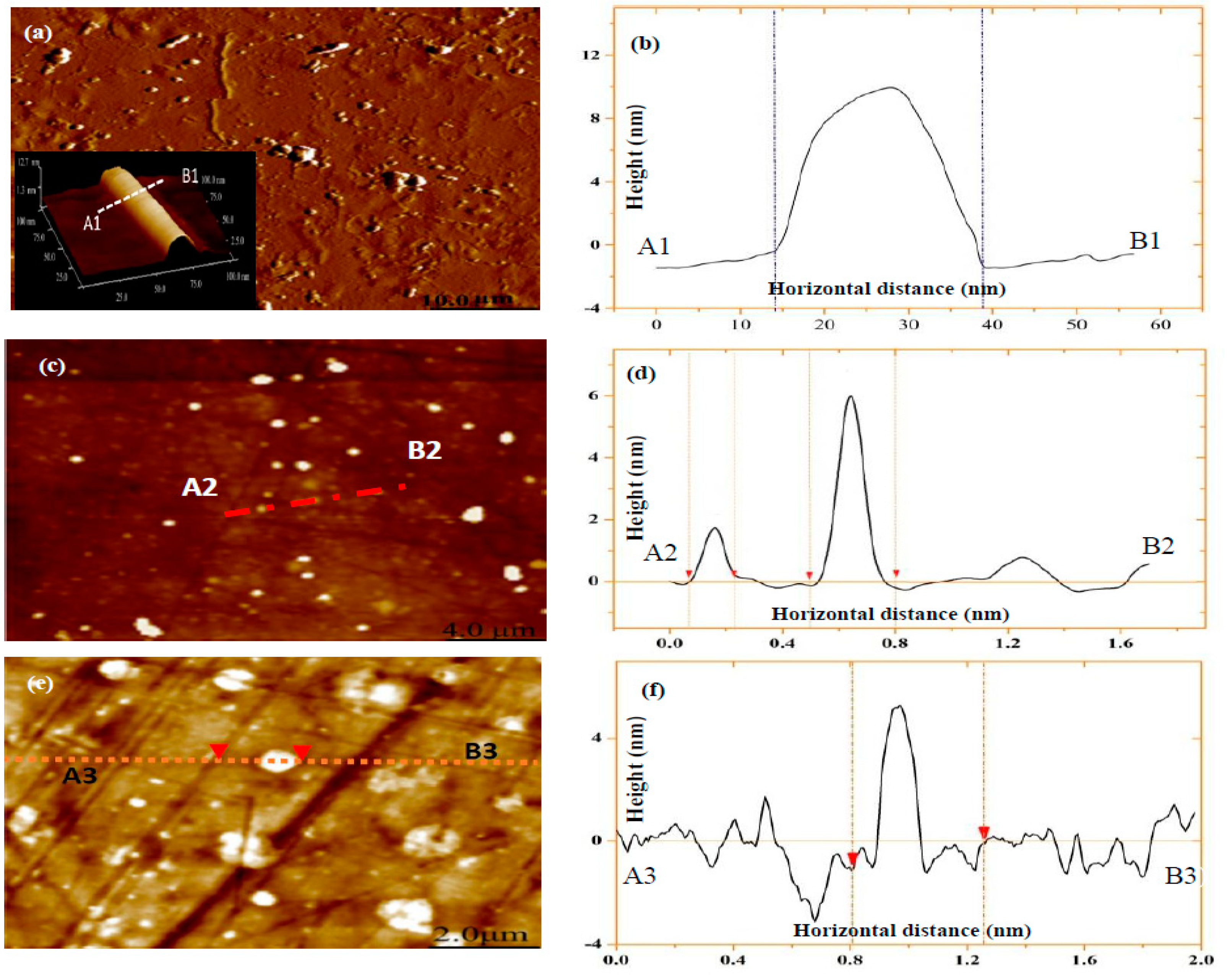 Polymers 12 00264 g001