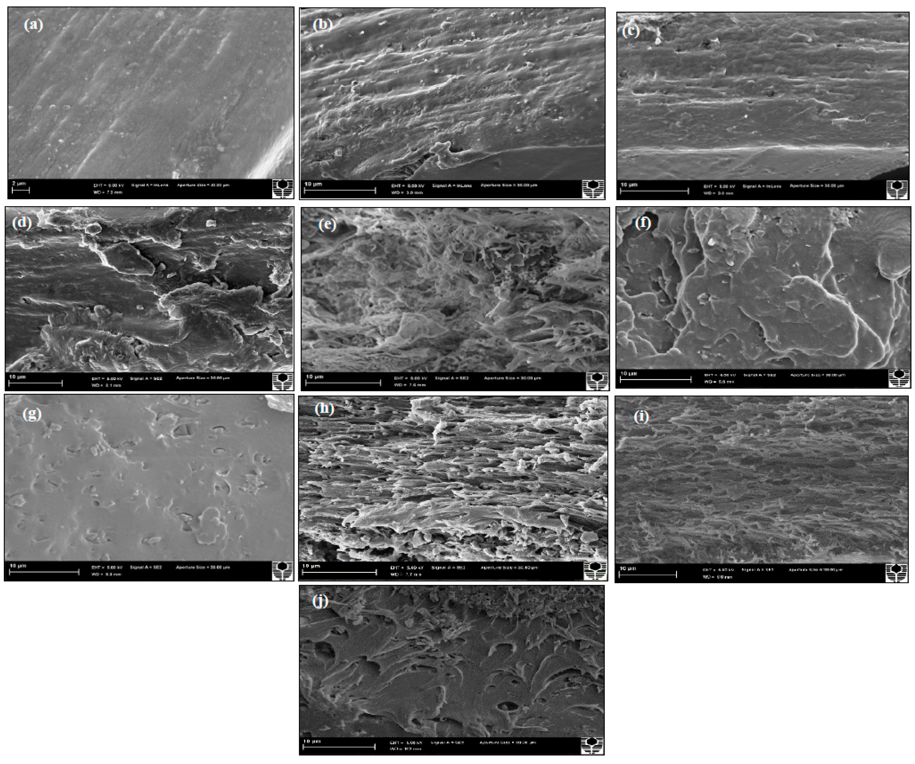 Polymers 12 00264 g008