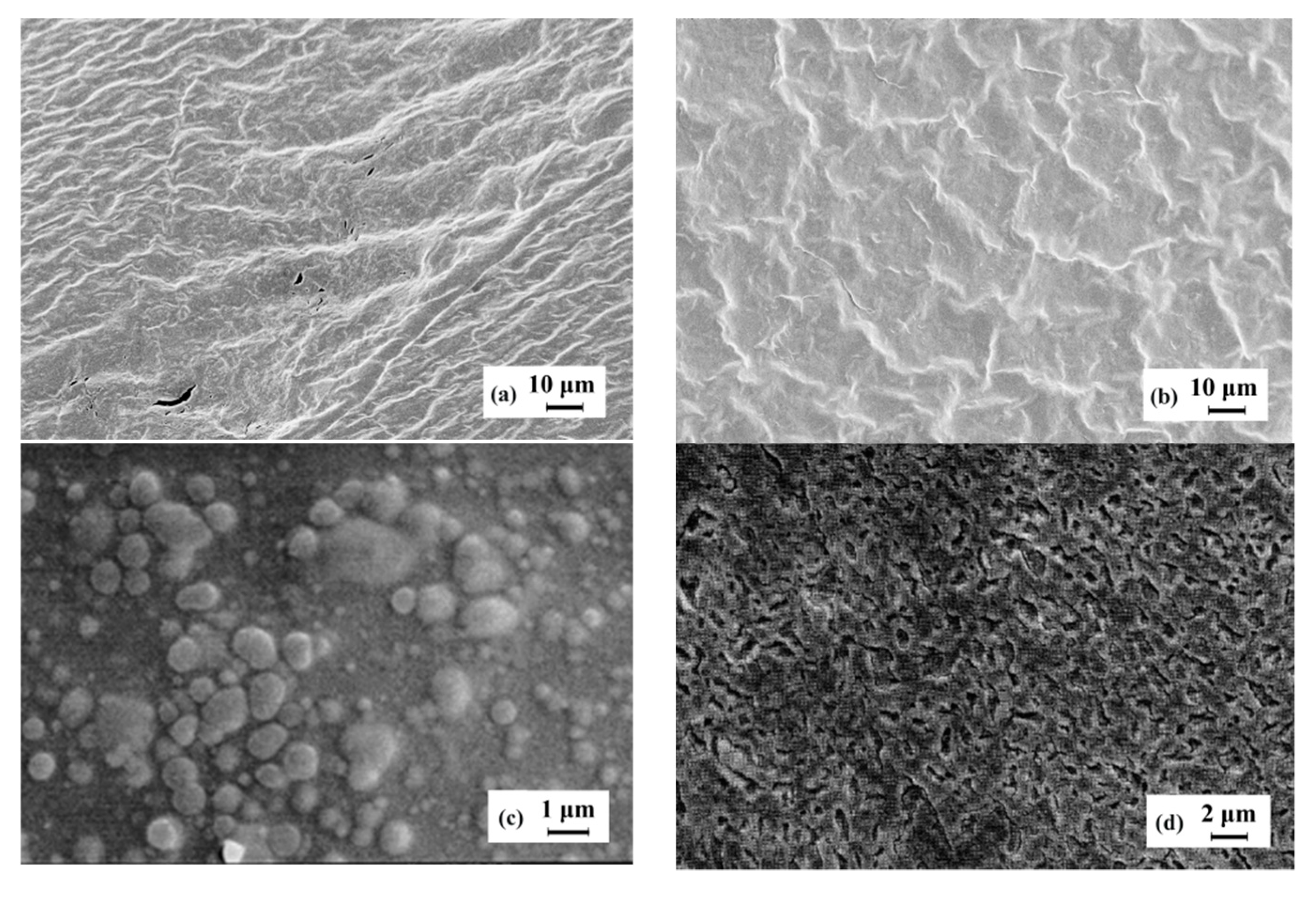 Polymers 12 00266 g011