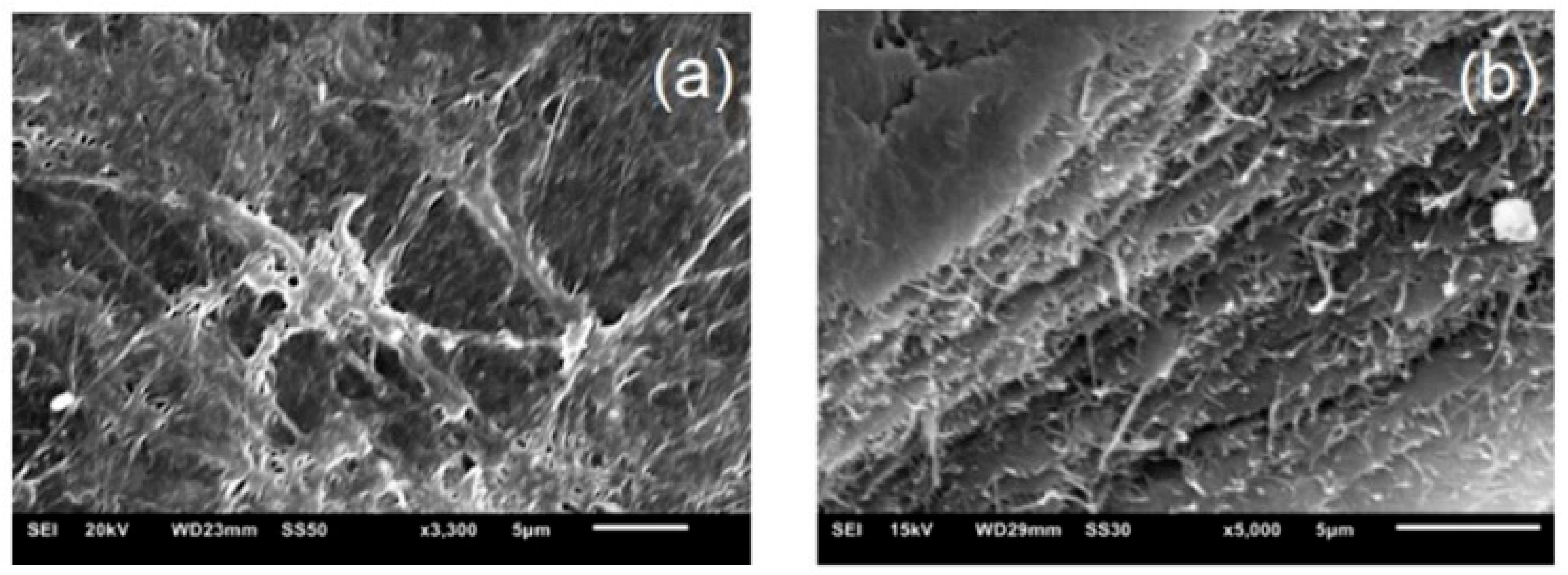 Polymers 12 00267 g006 Polymers 12 00267 g006