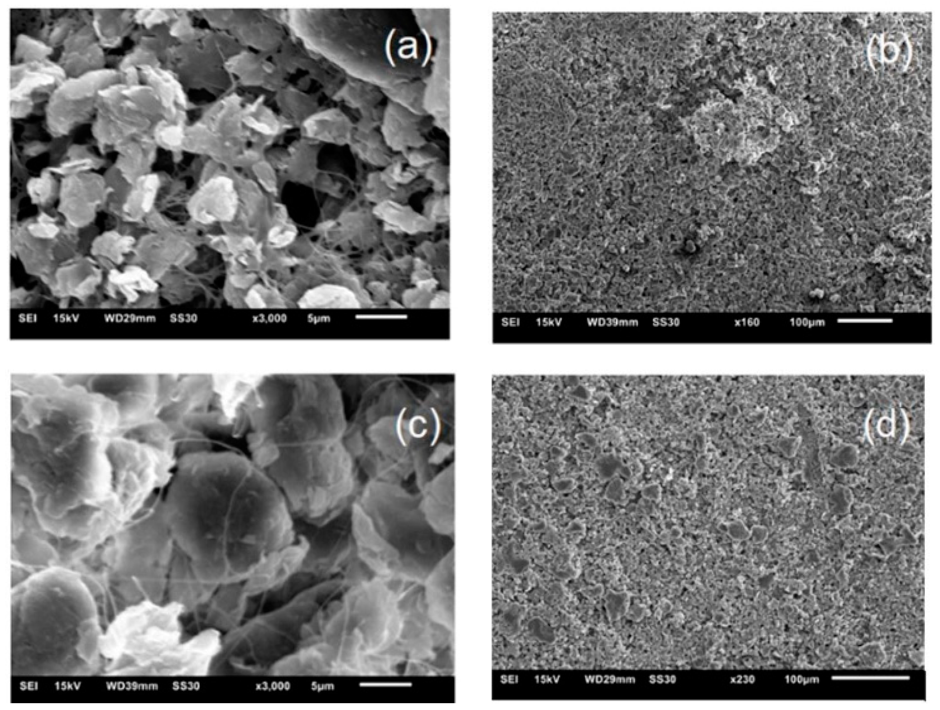Polymers 12 00267 g007 Polymers 12 00267 g007