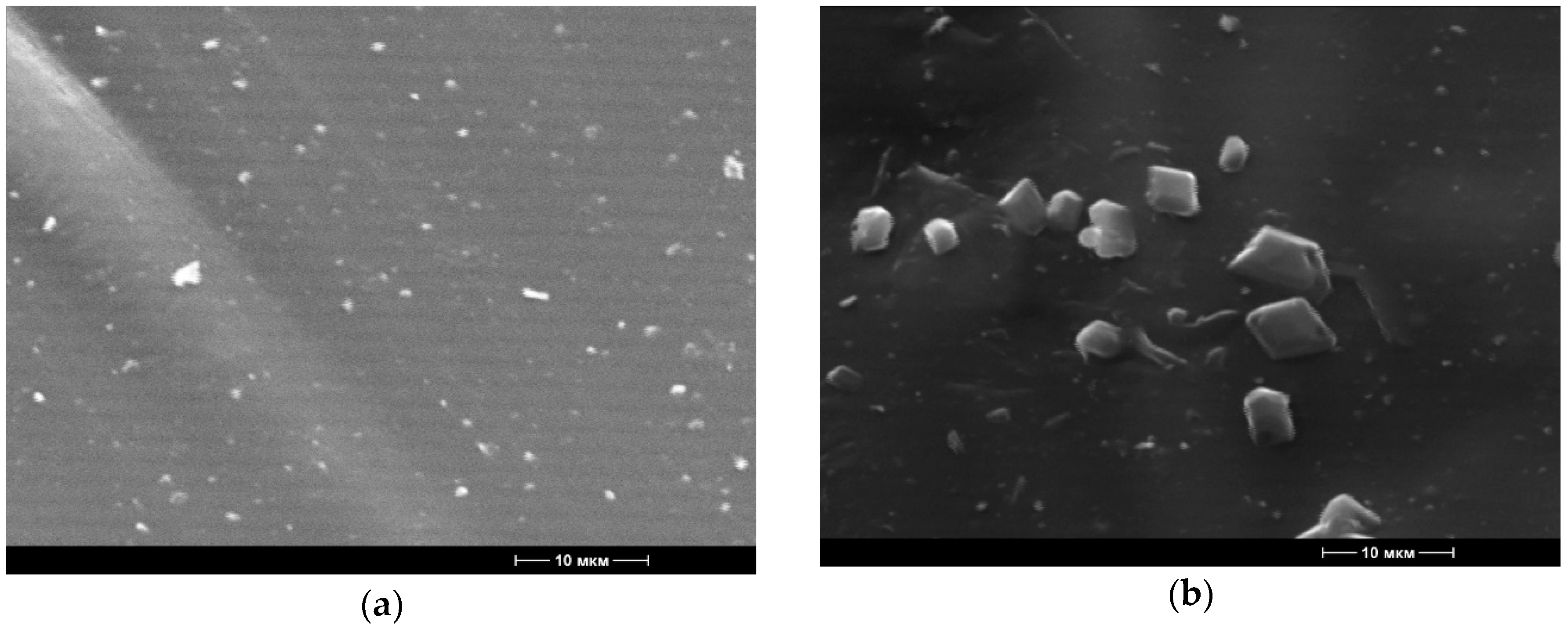 Polymers 12 00275 g003
