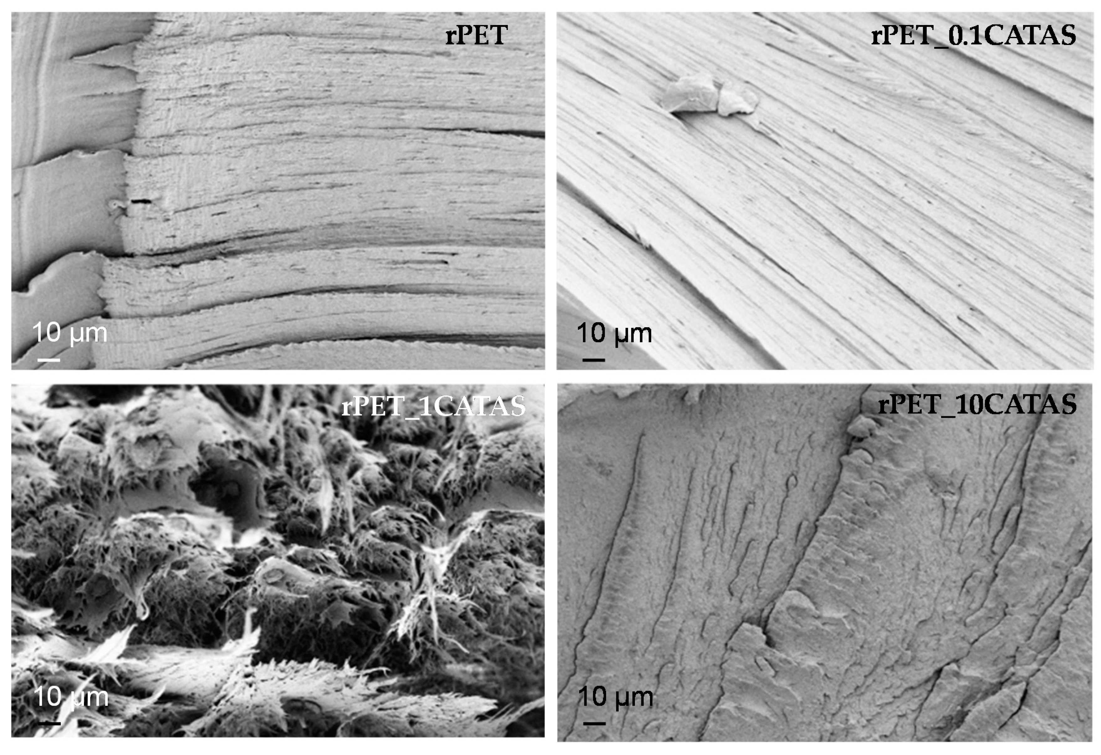 Polymers 12 00276 g006 Polymers 12 00276 g006