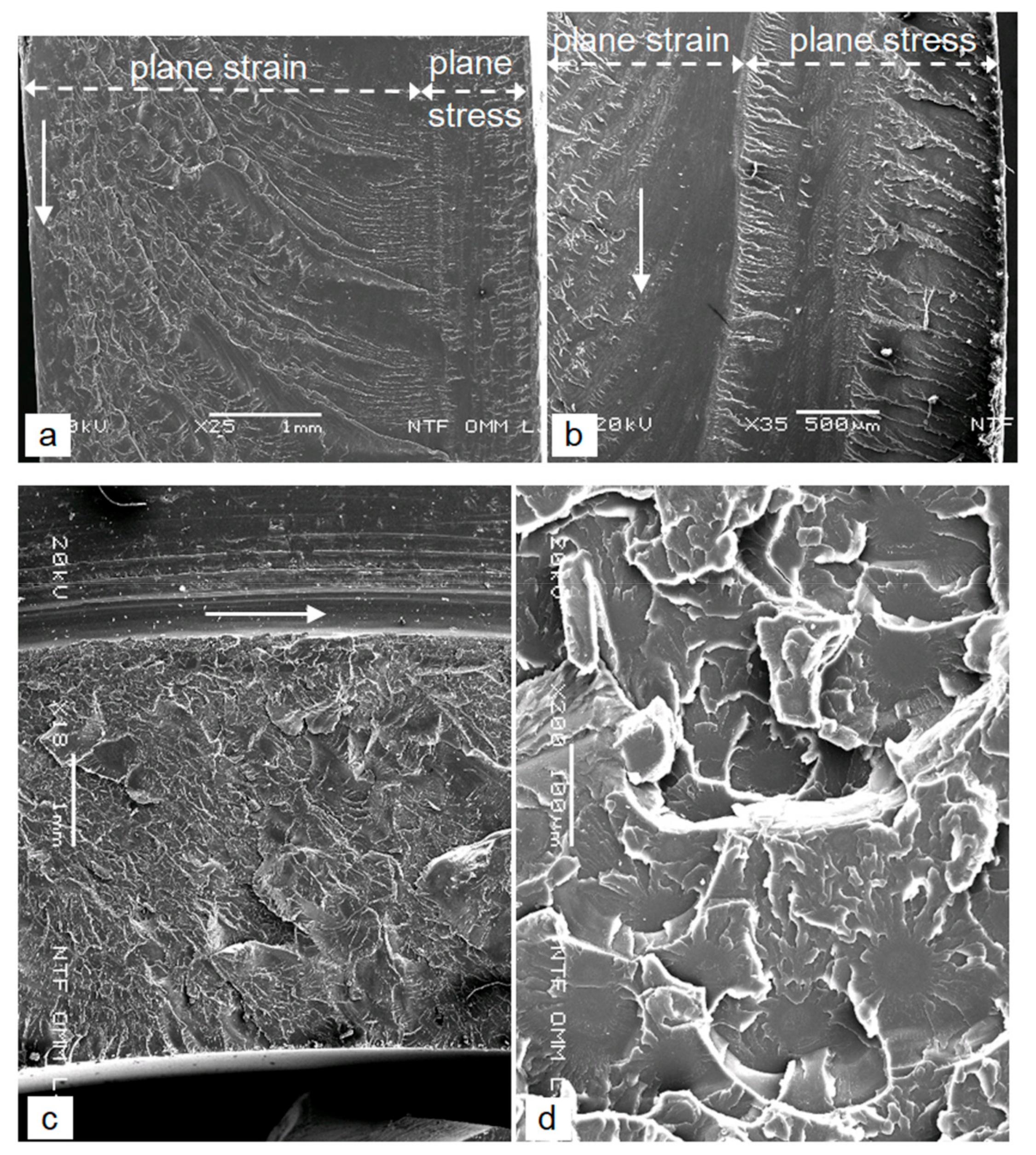 Polymers 12 00280 g008 Polymers 12 00280 g008