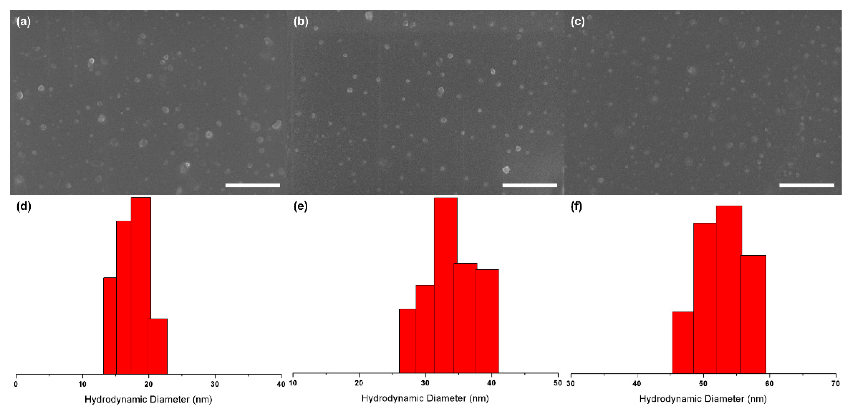 Polymers 12 00284 g003 Polymers 12 00284 g003