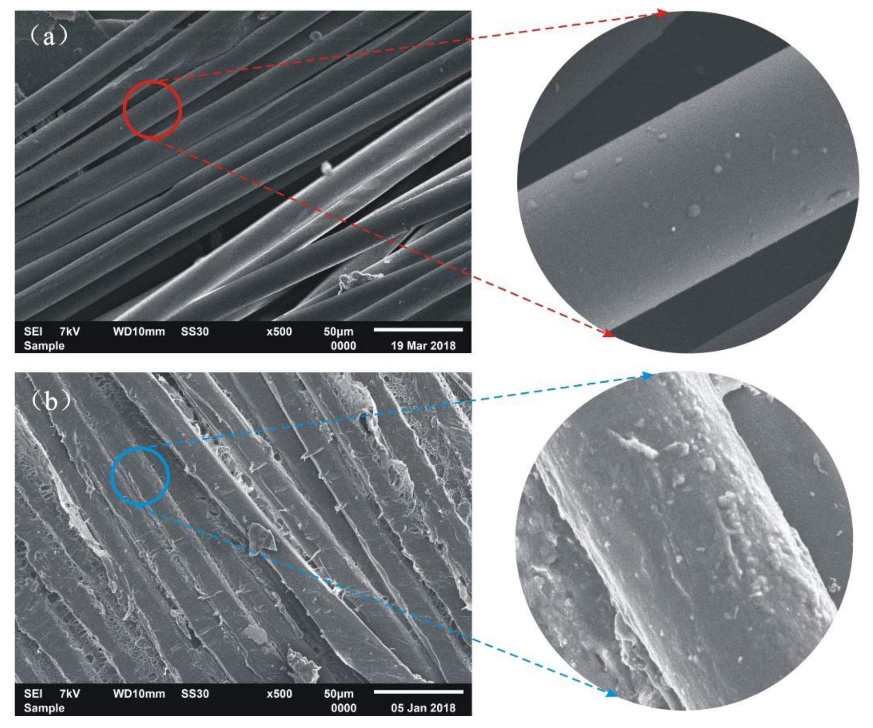 Polymers 12 00288 g004