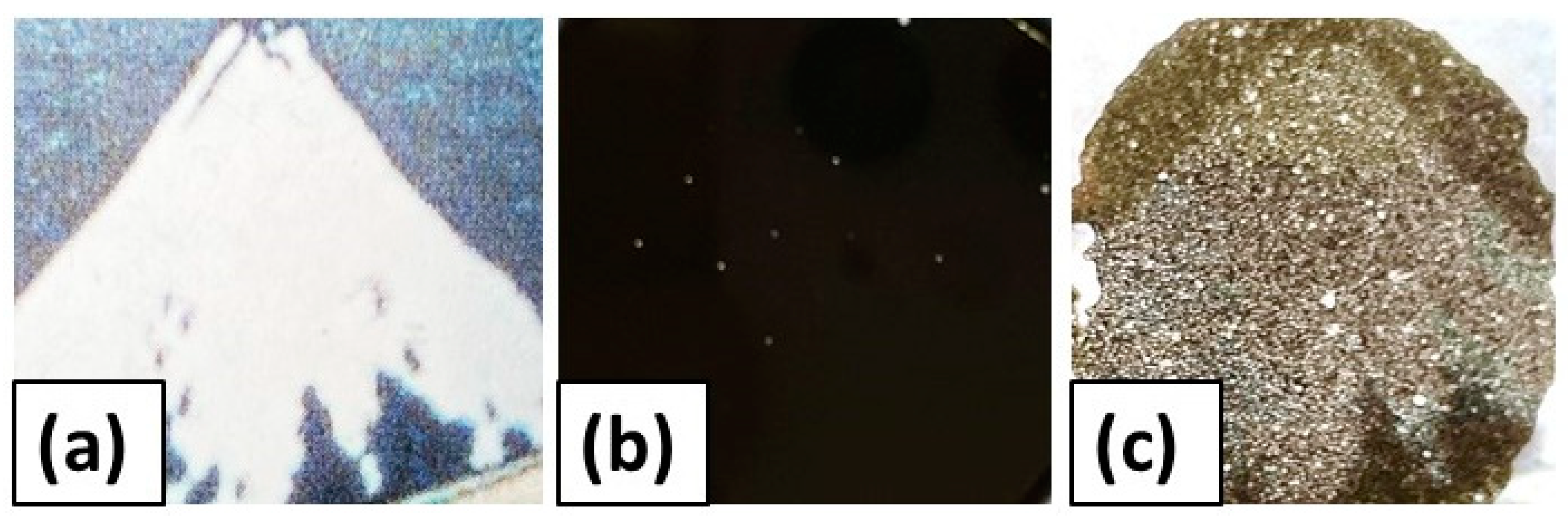 Polymers 12 00290 g007a