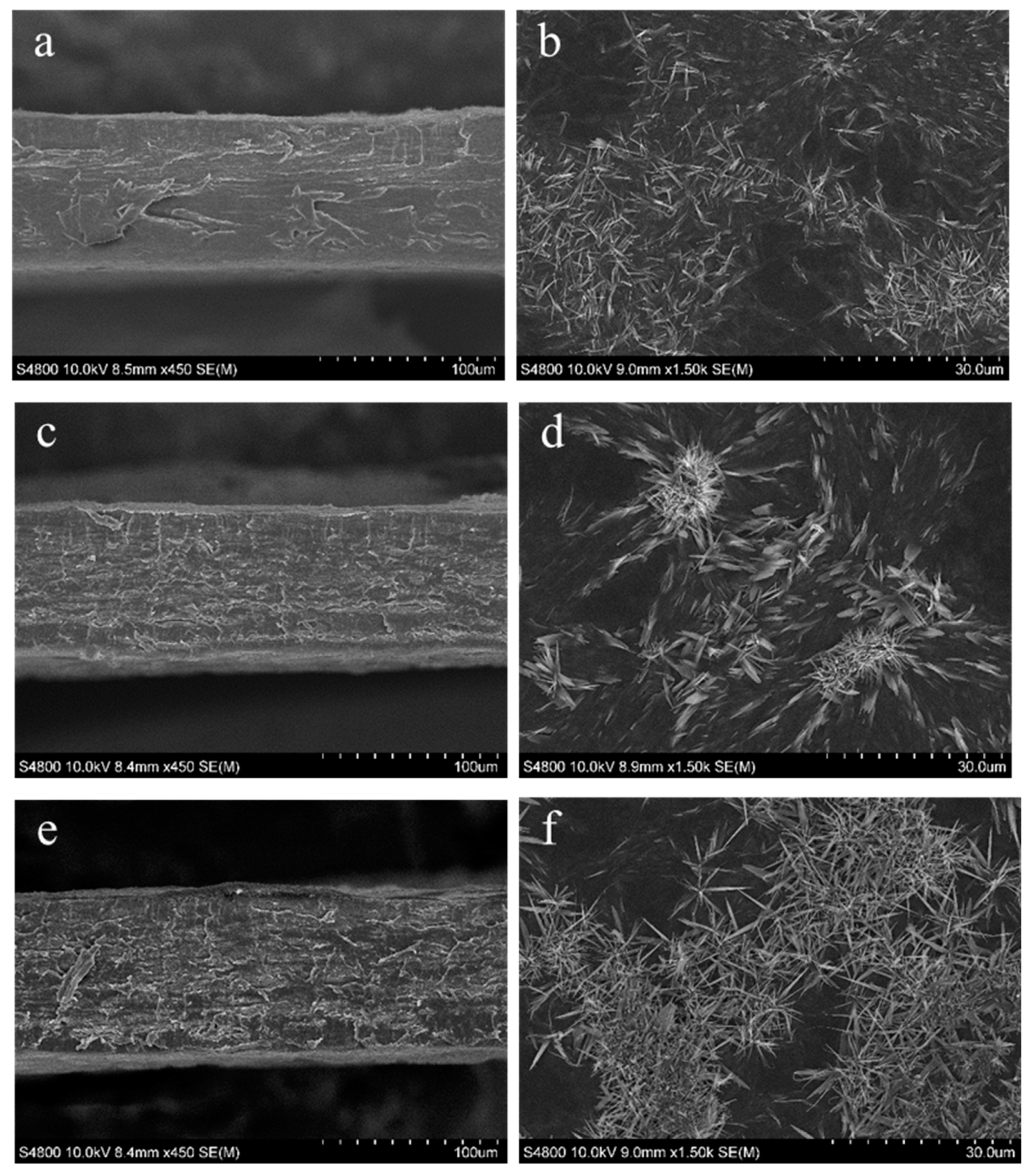 Polymers 12 00291 g004
