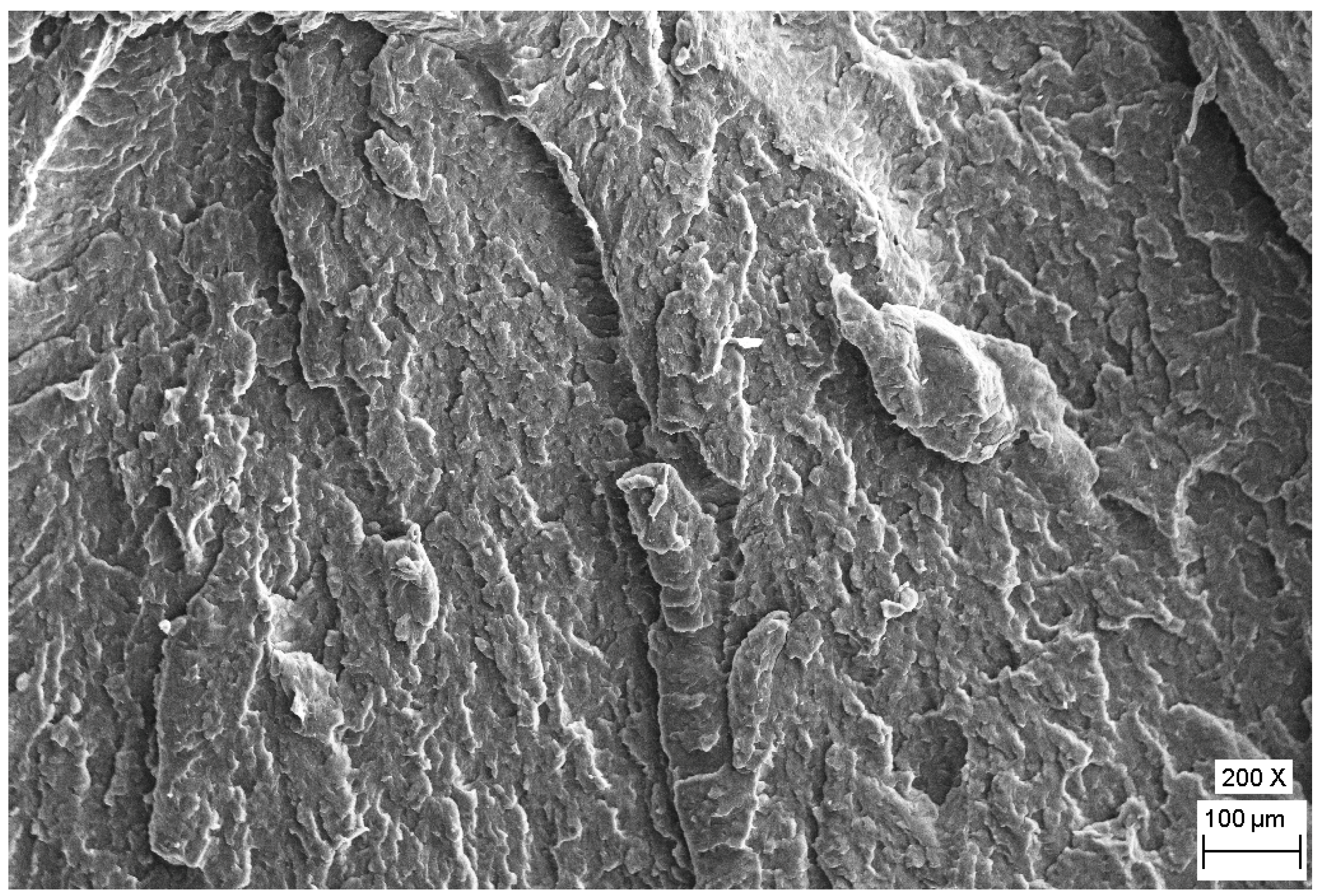 Polymers 12 00293 g004