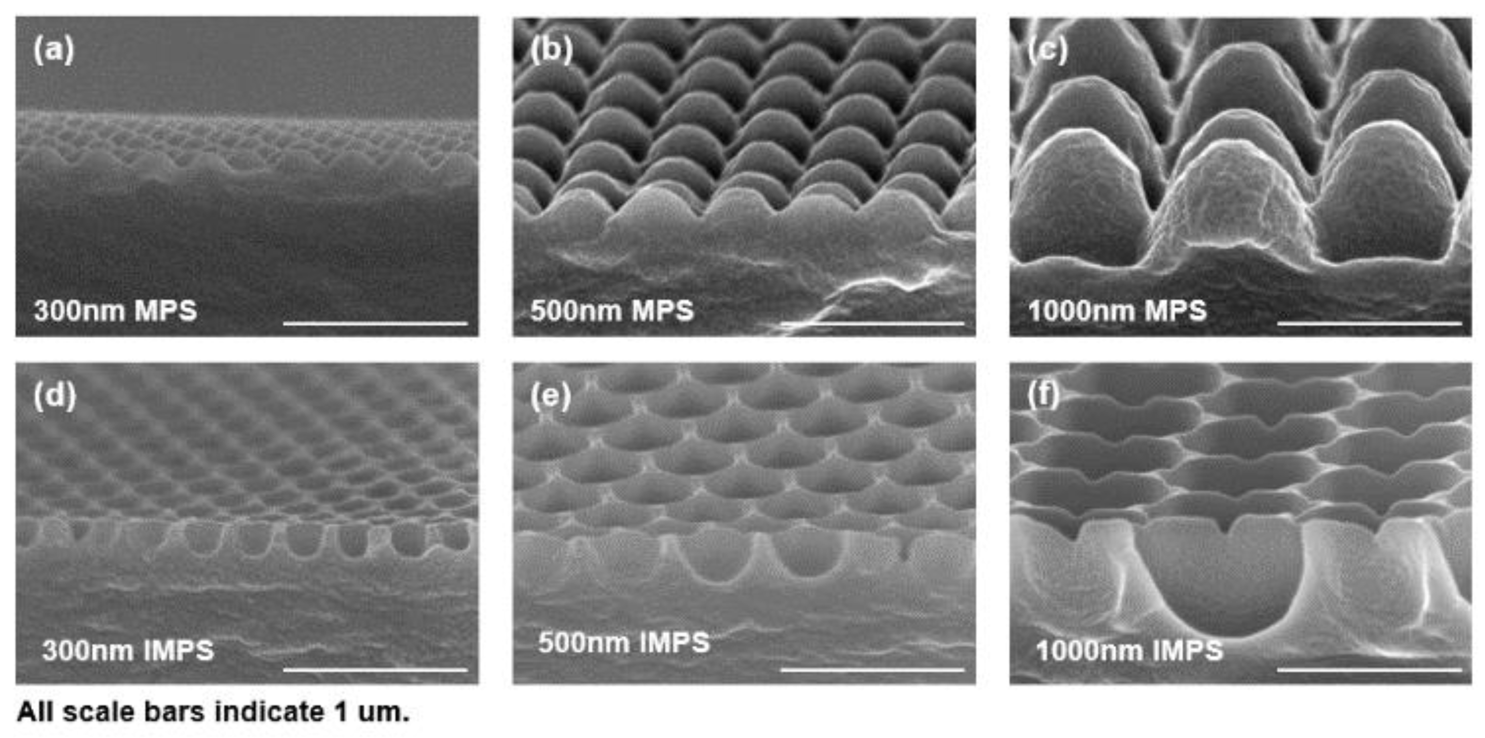 Polymers 12 00296 g002 Polymers 12 00296 g002