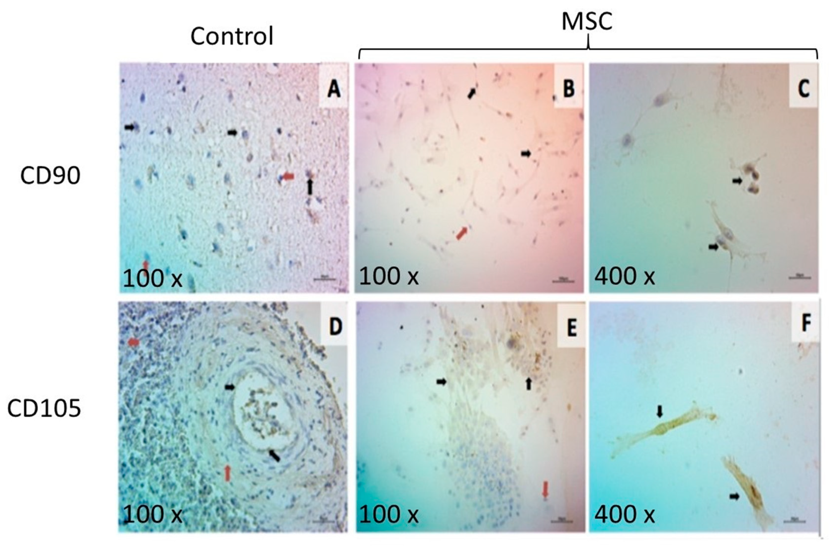 Polymers 12 00300 g006 Polymers 12 00300 g006