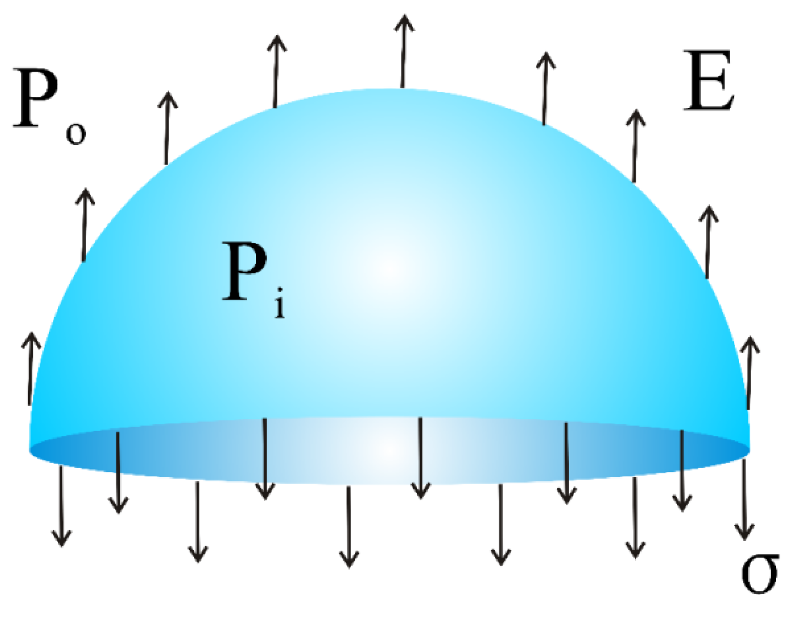 Polymers 12 00304 g002 Polymers 12 00304 g002