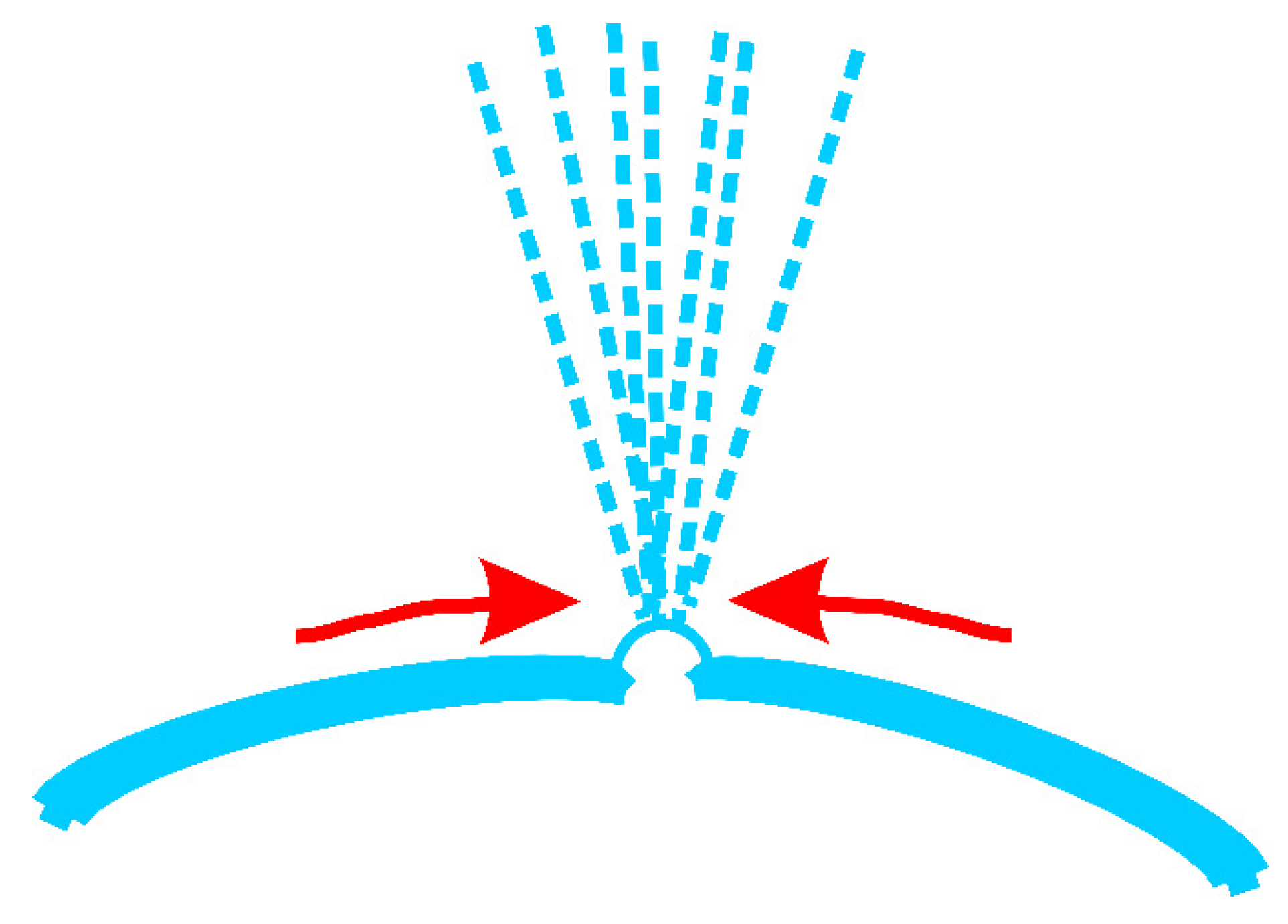 Polymers 12 00304 g007 Polymers 12 00304 g007