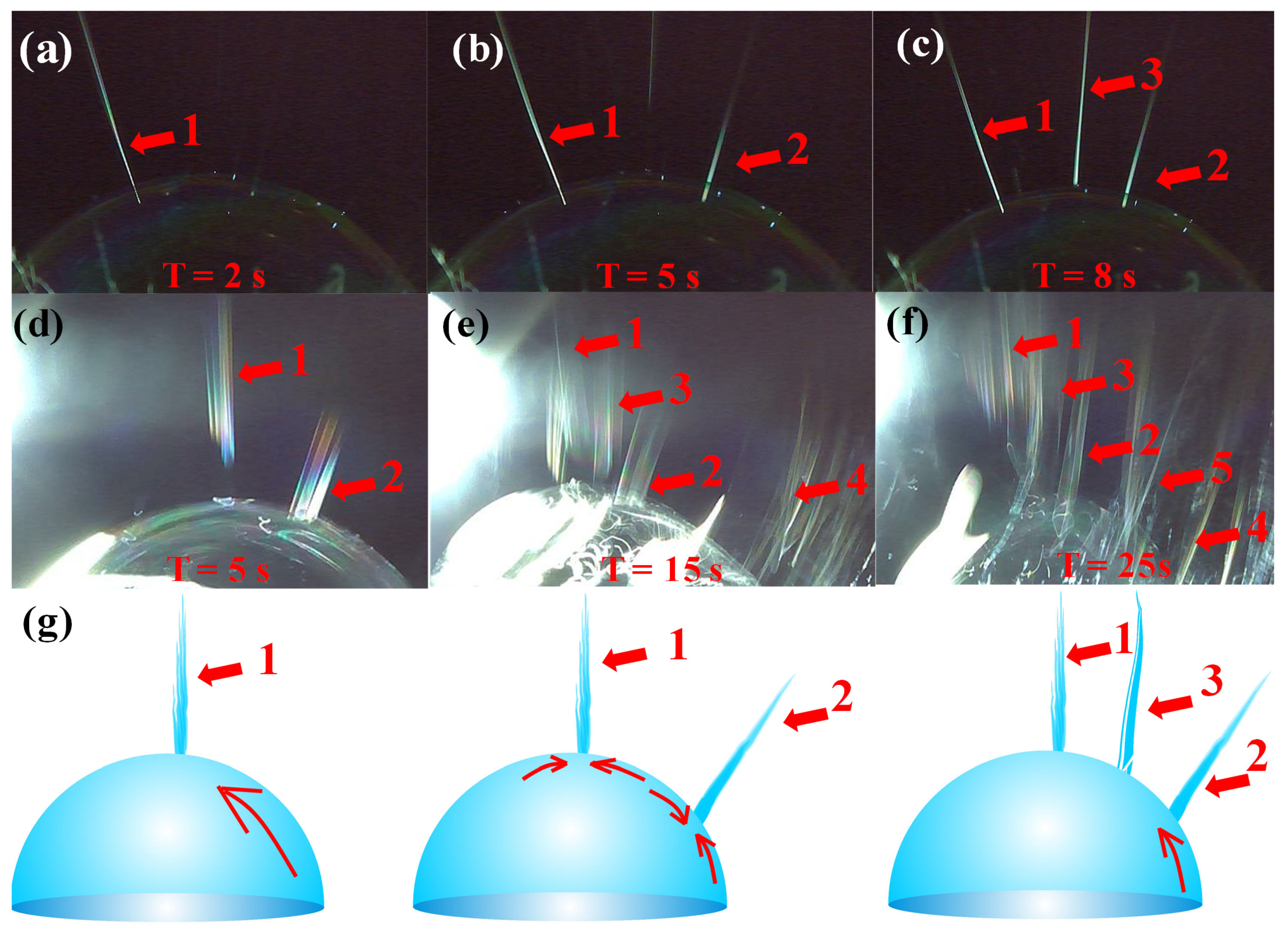 Polymers 12 00304 g009 Polymers 12 00304 g009