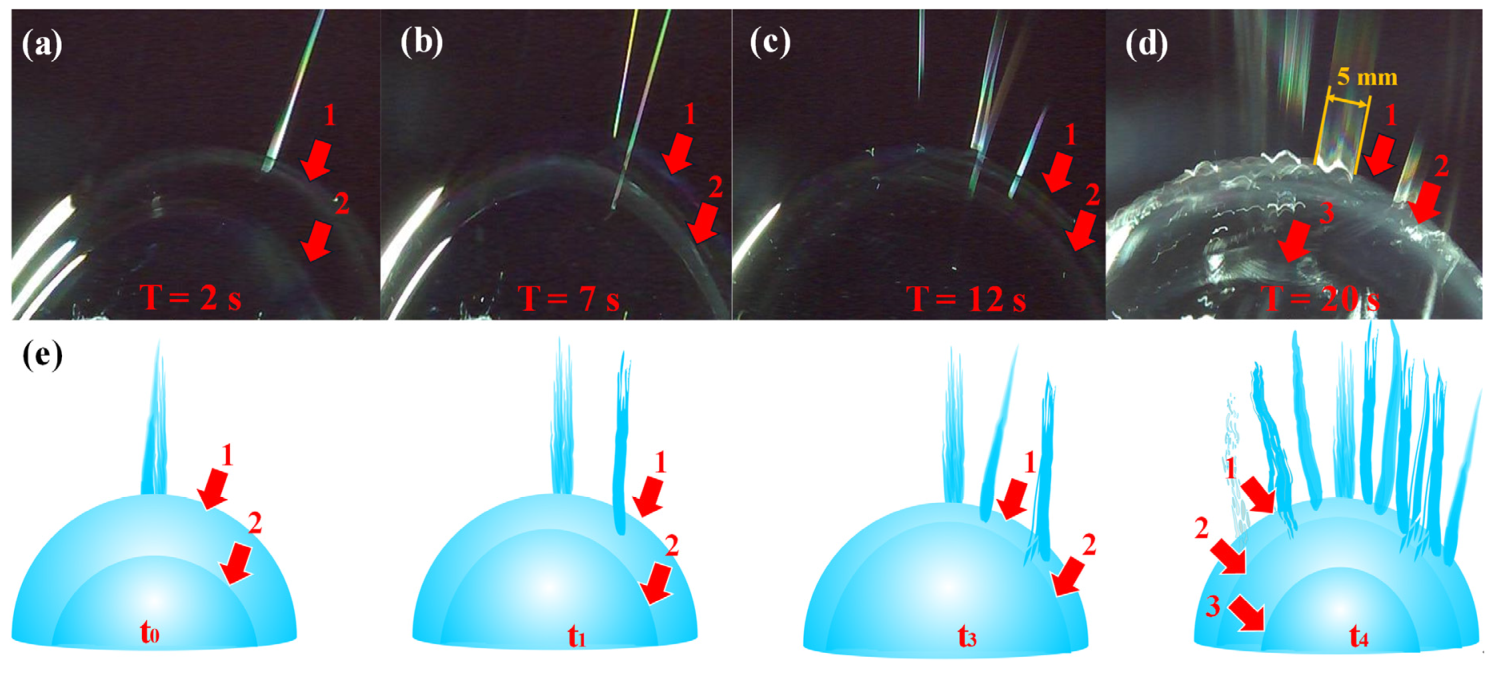 Polymers 12 00304 g010 Polymers 12 00304 g010
