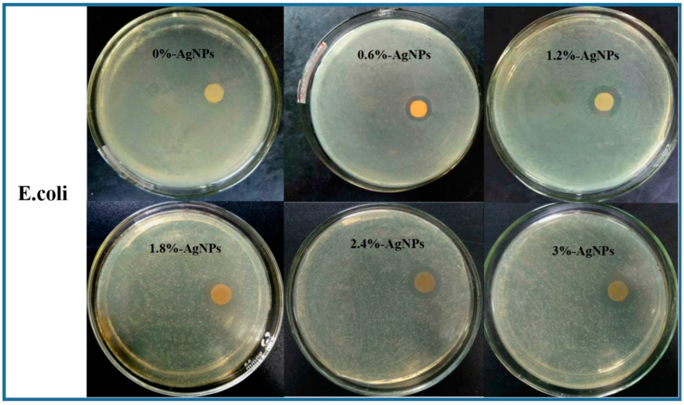 Polymers 12 00305 g009a