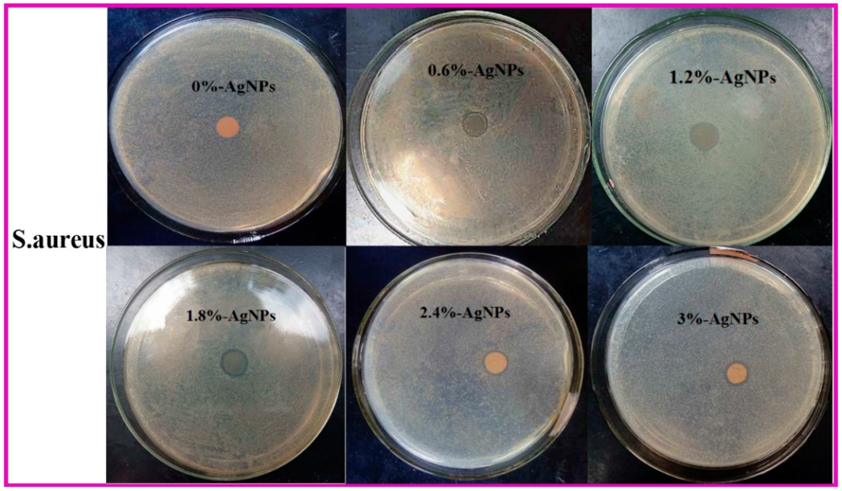 Polymers 12 00305 g009b
