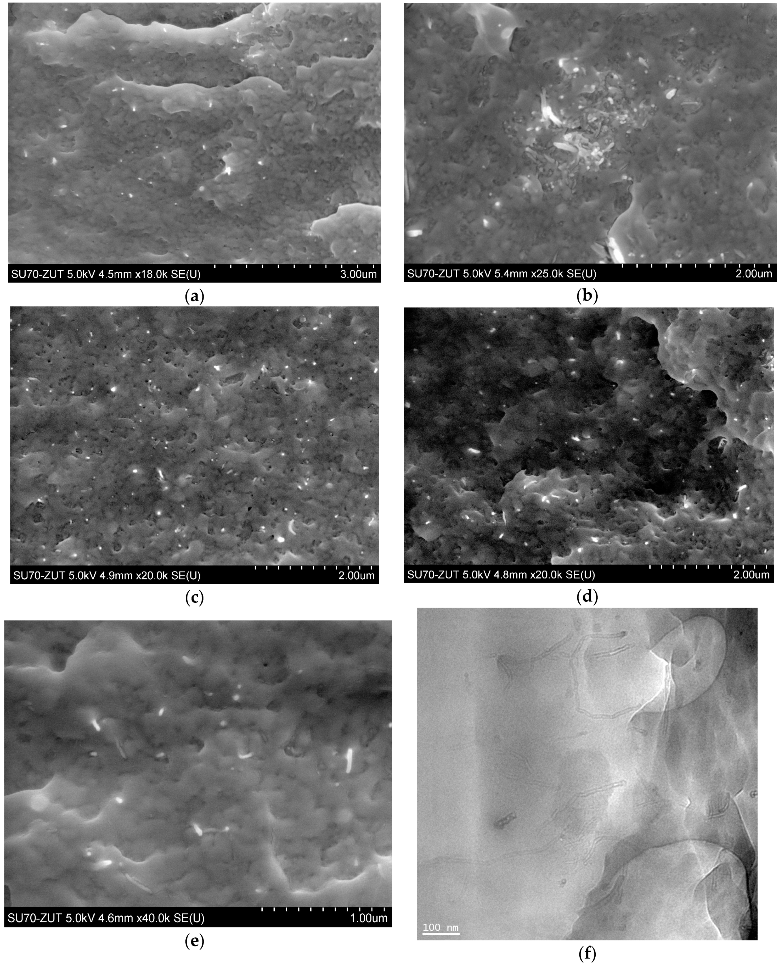Polymers 12 00308 g005