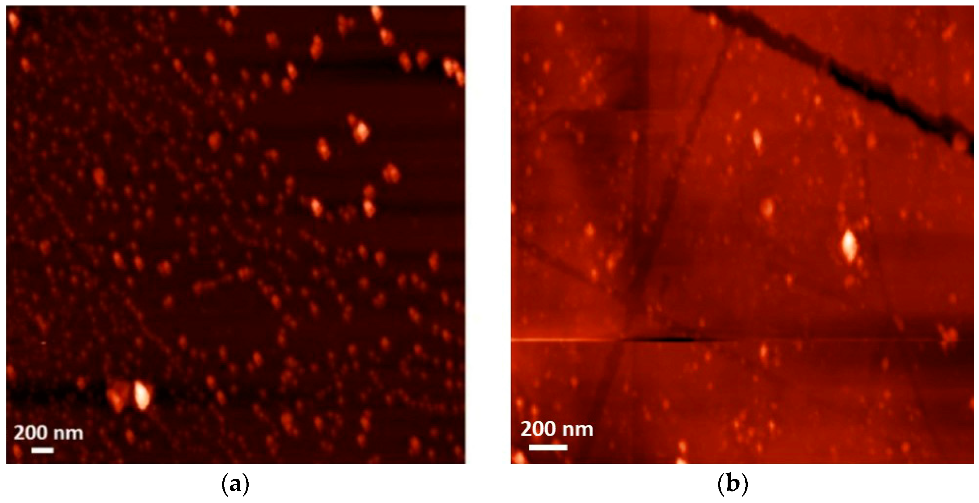 Polymers 12 00309 g004