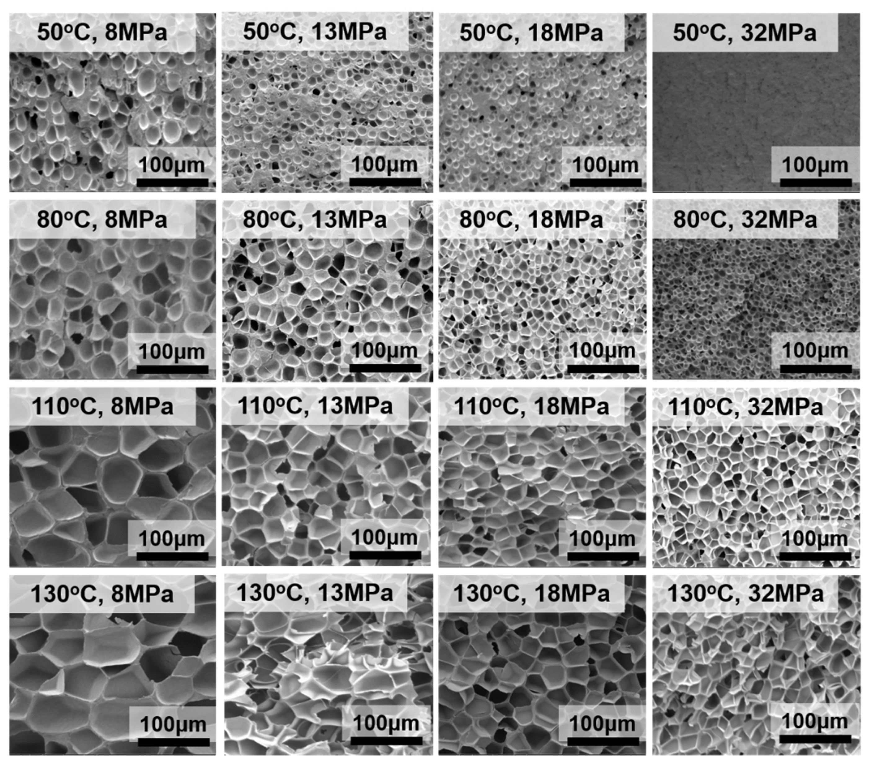 Polymers 12 00315 g002
