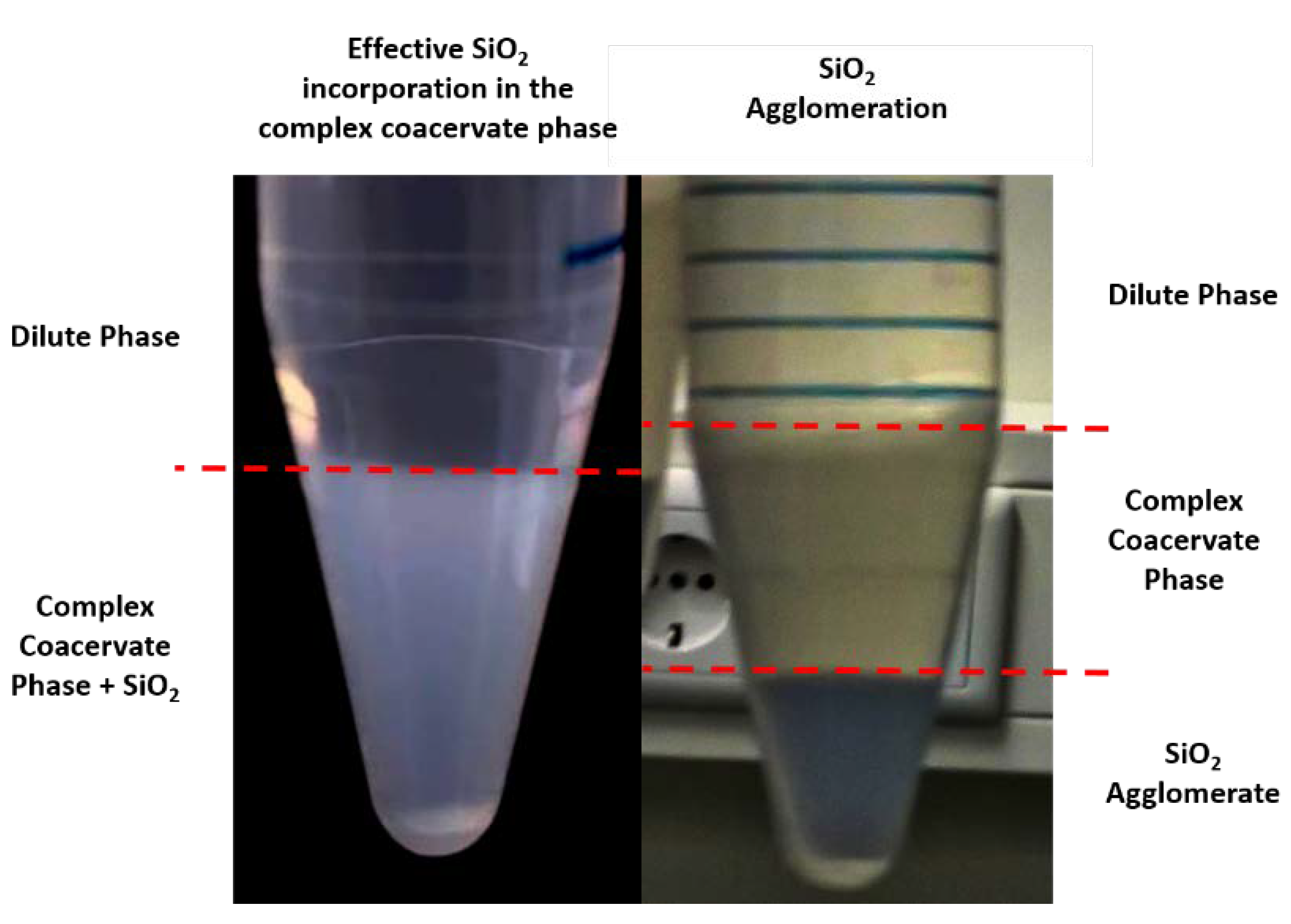 Polymers 12 00320 g002 Polymers 12 00320 g002