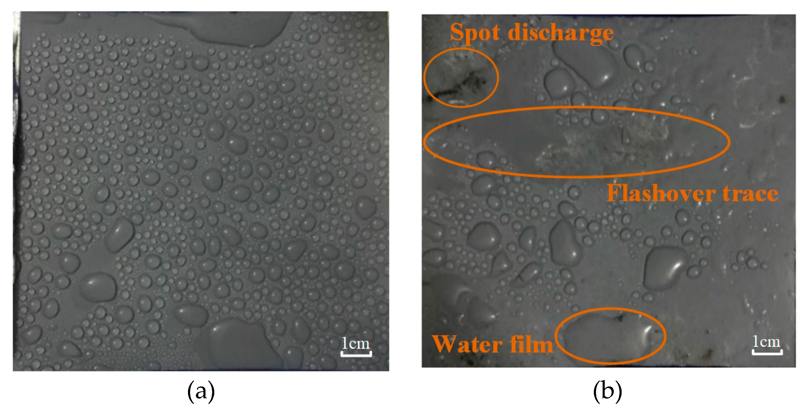 Polymers 12 00324 g007