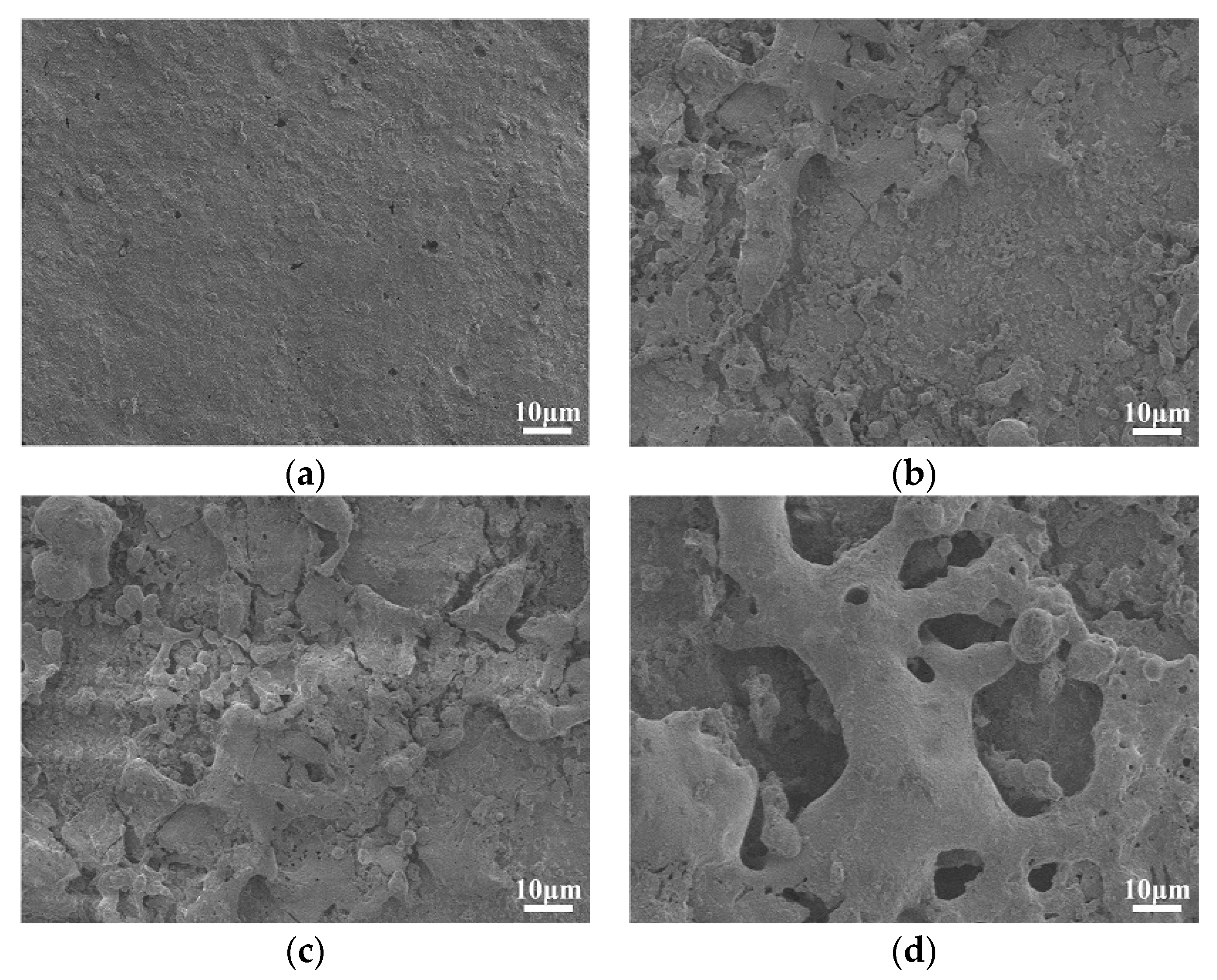Polymers 12 00324 g010