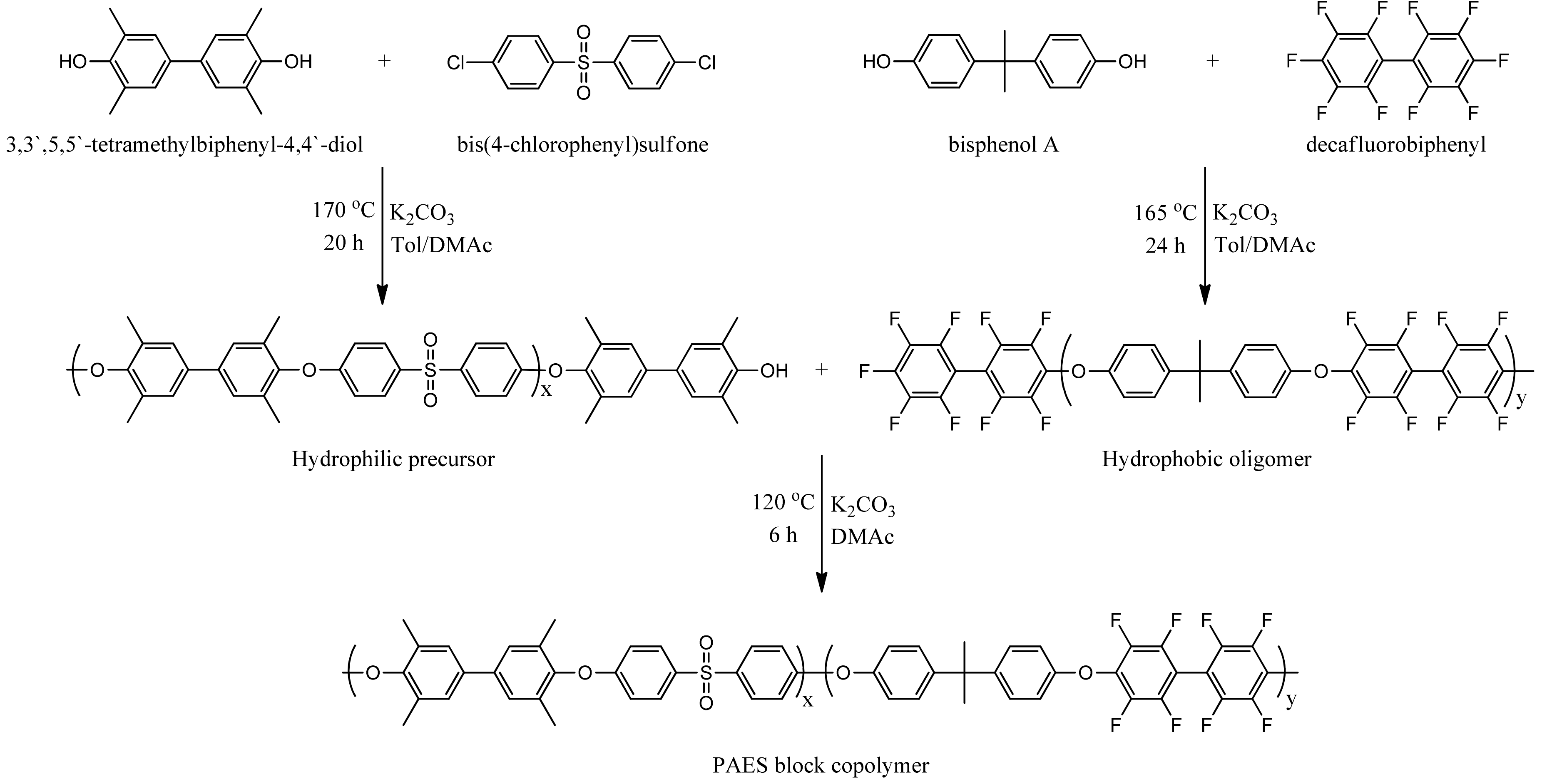 Polymers 12 00325 sch001