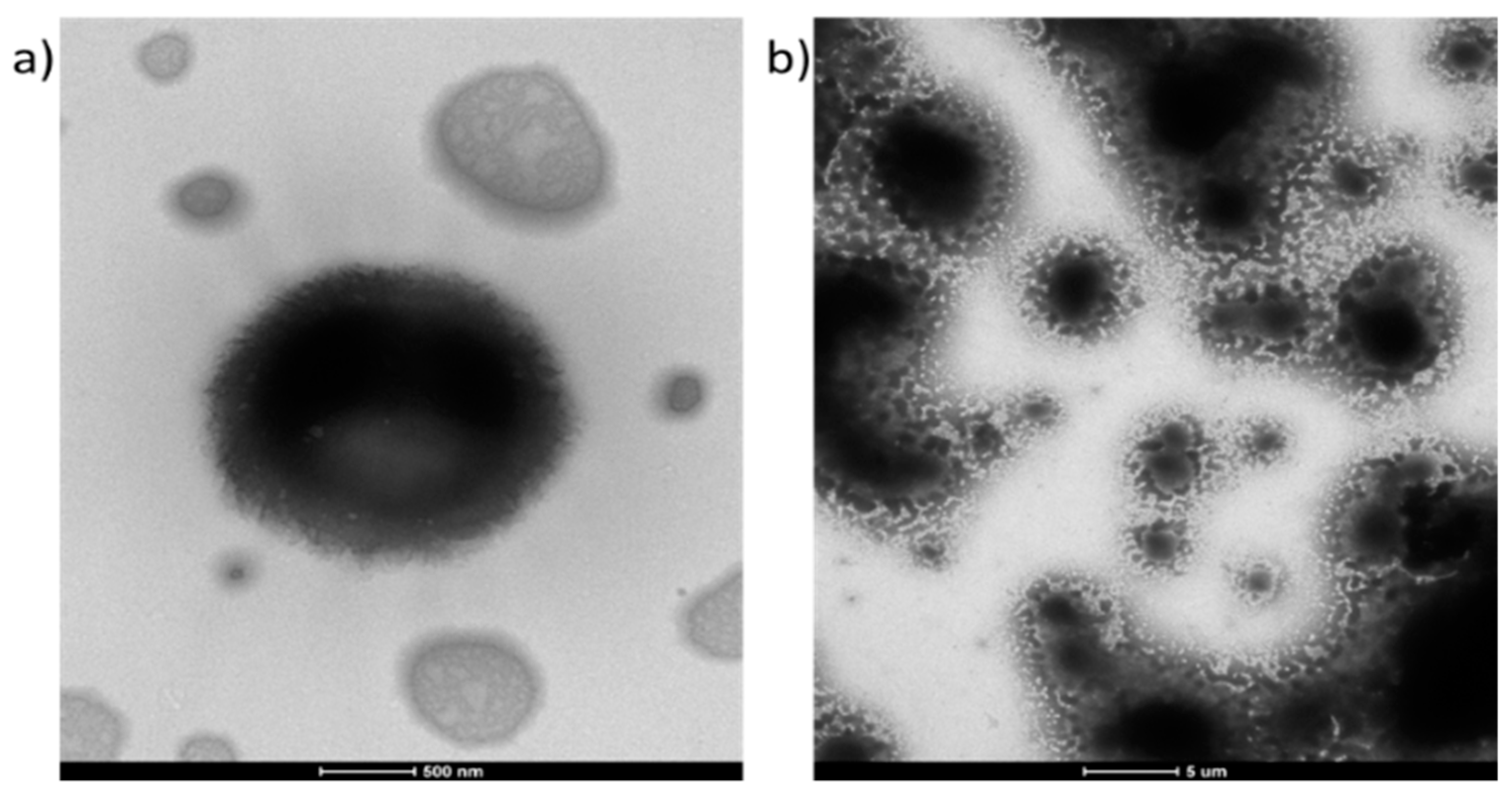 Polymers 12 00330 g007